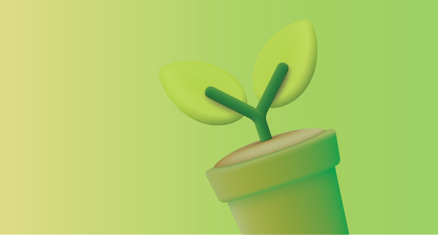 Grow Kits