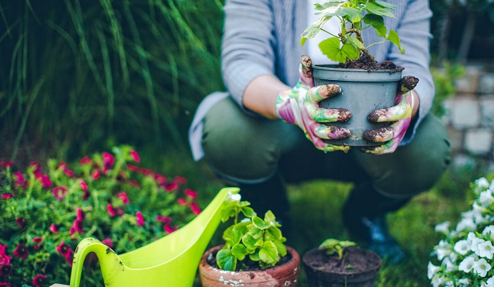 Handpicked by Mashatel