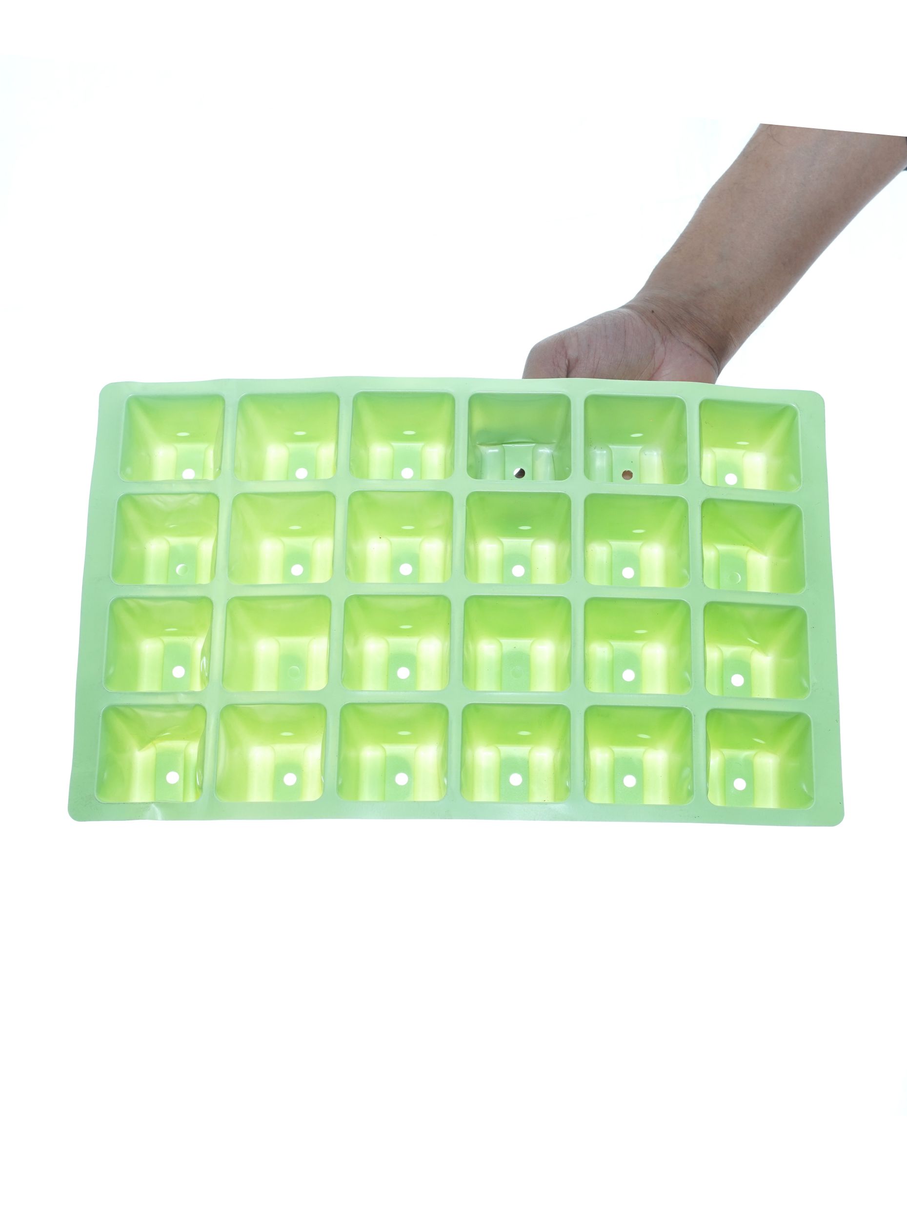 Seeds Online Kuwait Shop Vegetable & Flowers Seed at affordable price