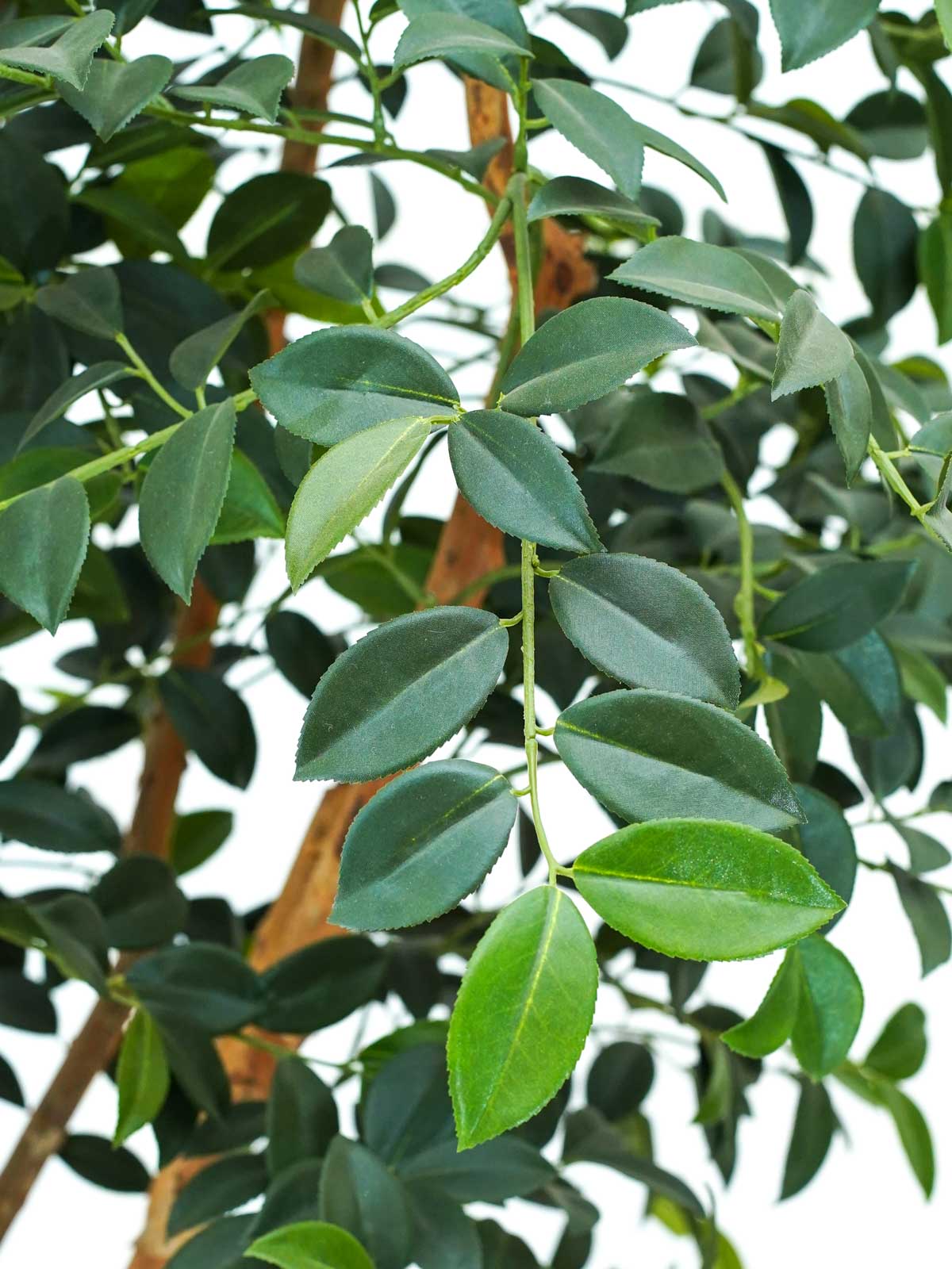 Artificial Trees Online Leading Plants & Flowers Online Store in Kuwait