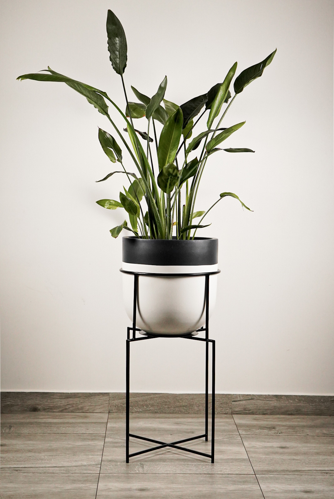 Circle Pot Stand Online Pots & Vases