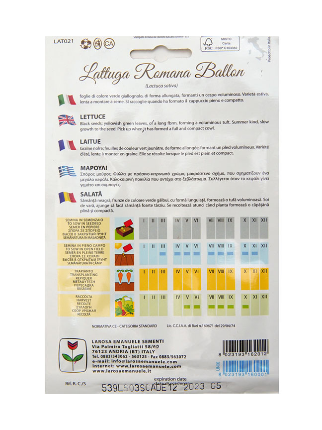 Lettuce  'Seeds Fruits and Vegetables