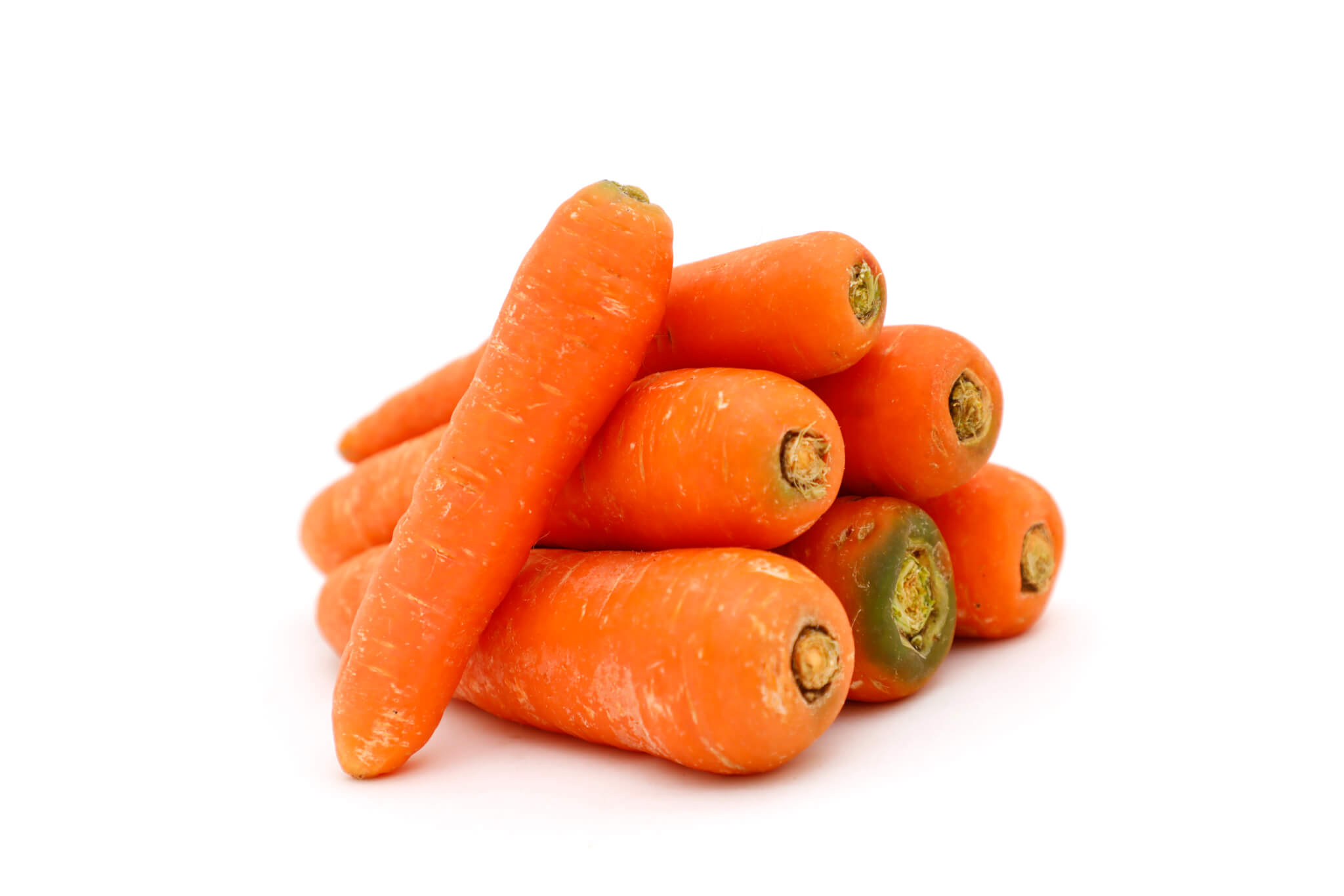 Ooty Carrot 'Grow Cups Vegetables