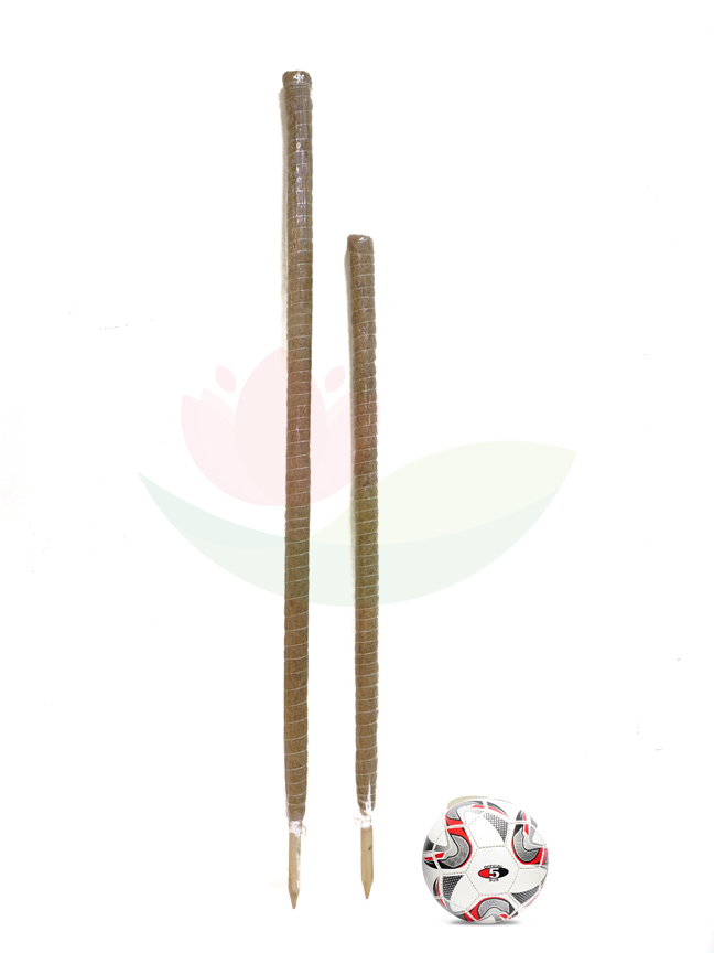 Bambo Stick - 145 CM 'Gardening Accessories Everything Else