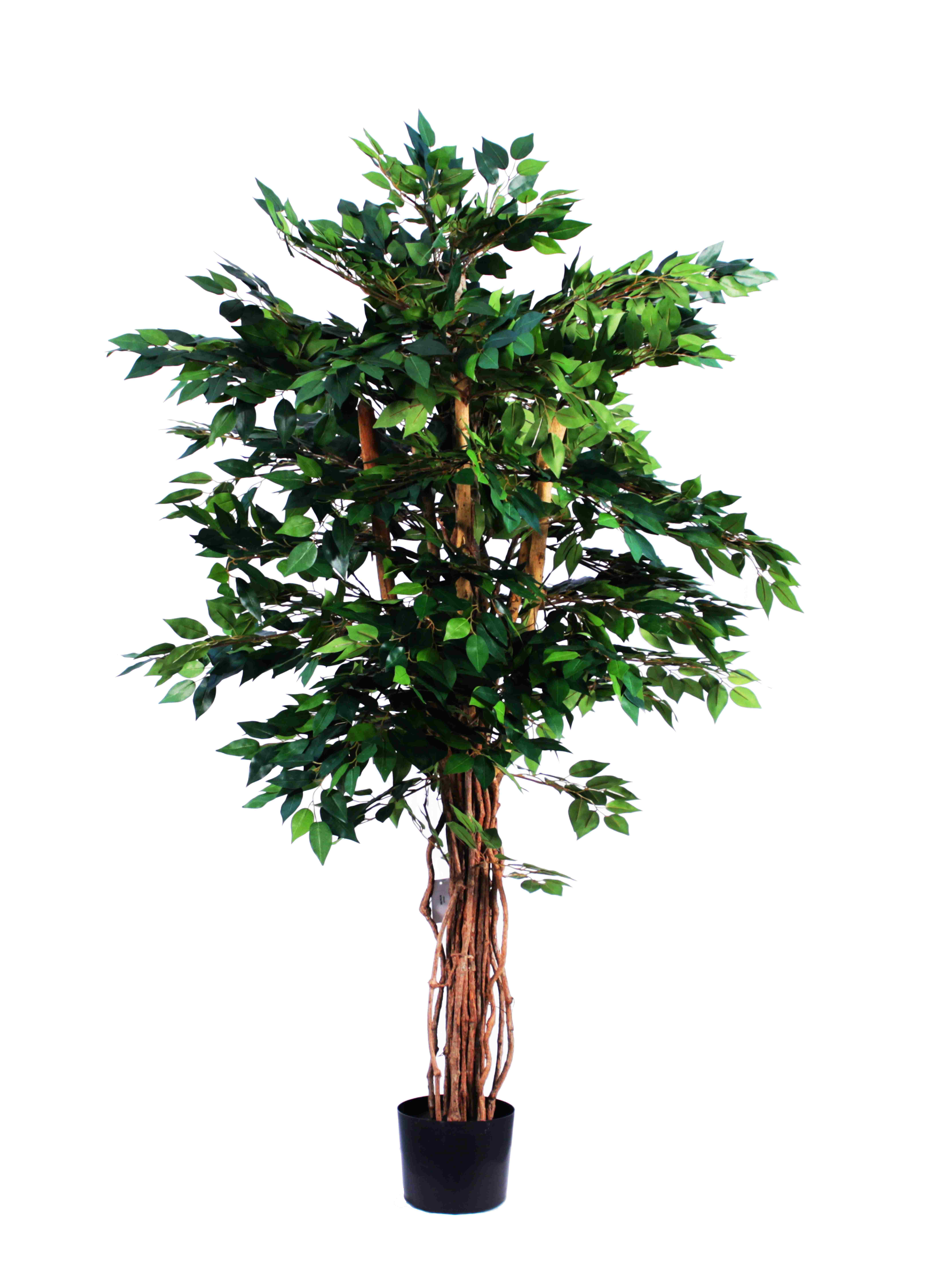 MINI FICUS 180 CM 'Artificial Plants Trees