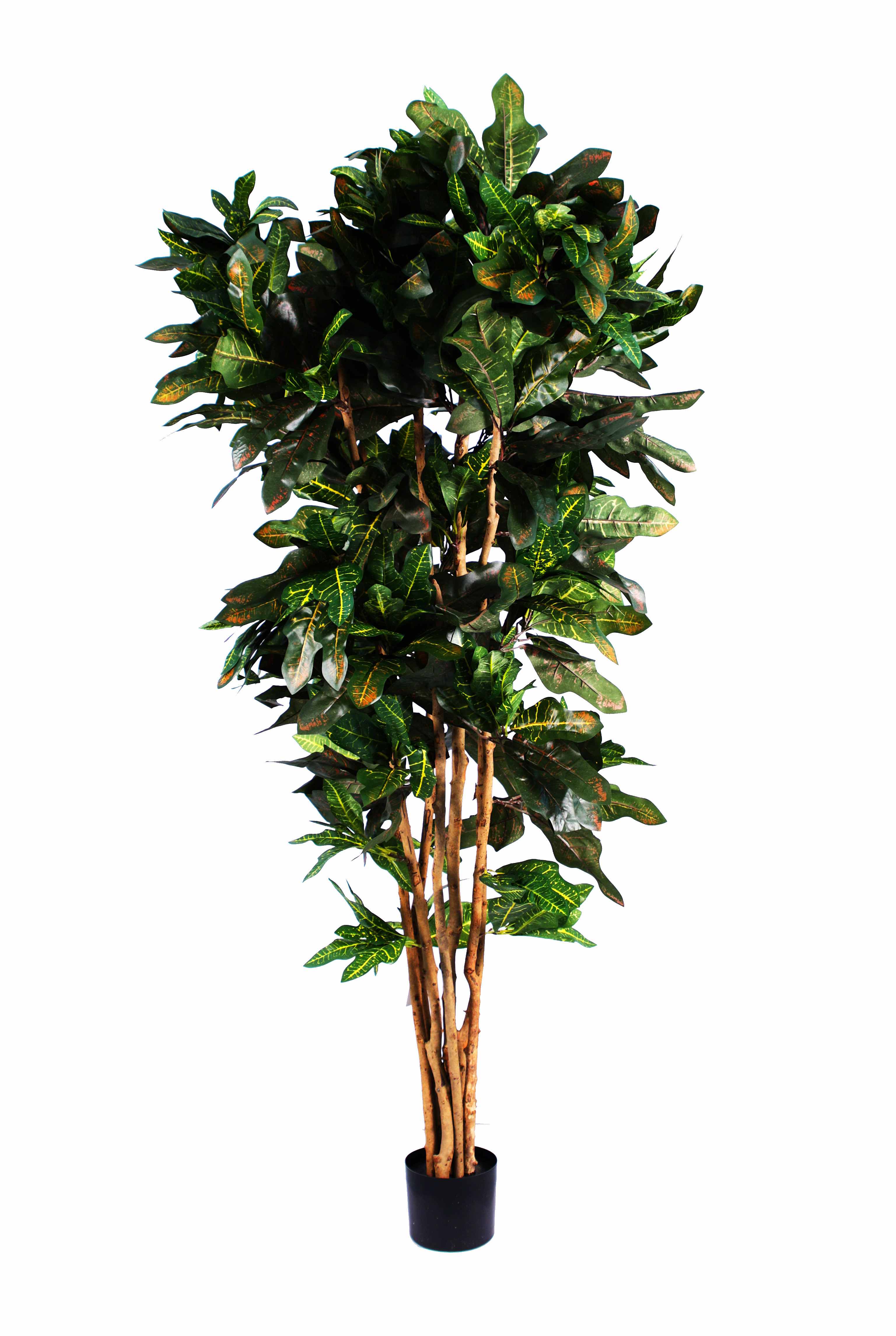 CROTON PETRA 180 CM 'Artificial Plants Trees
