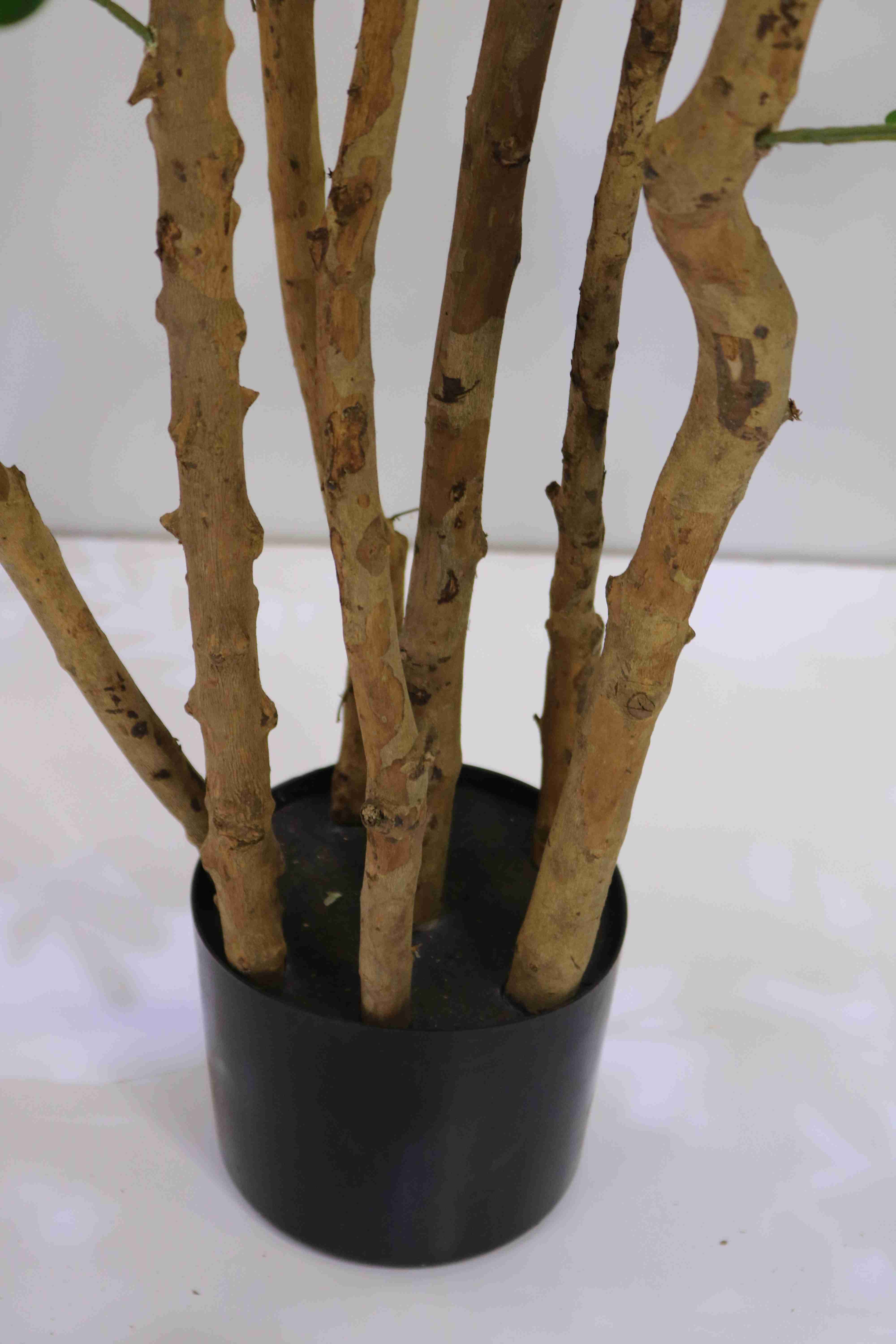 CARGANA ARBORESCENS 180 CM 'Artificial Plants Trees
