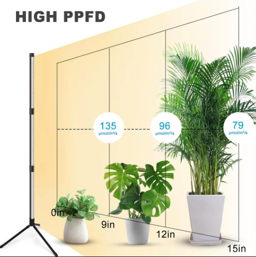 LED Standing Grow Light | Full Spectrum 'Hydroponic System Lighting