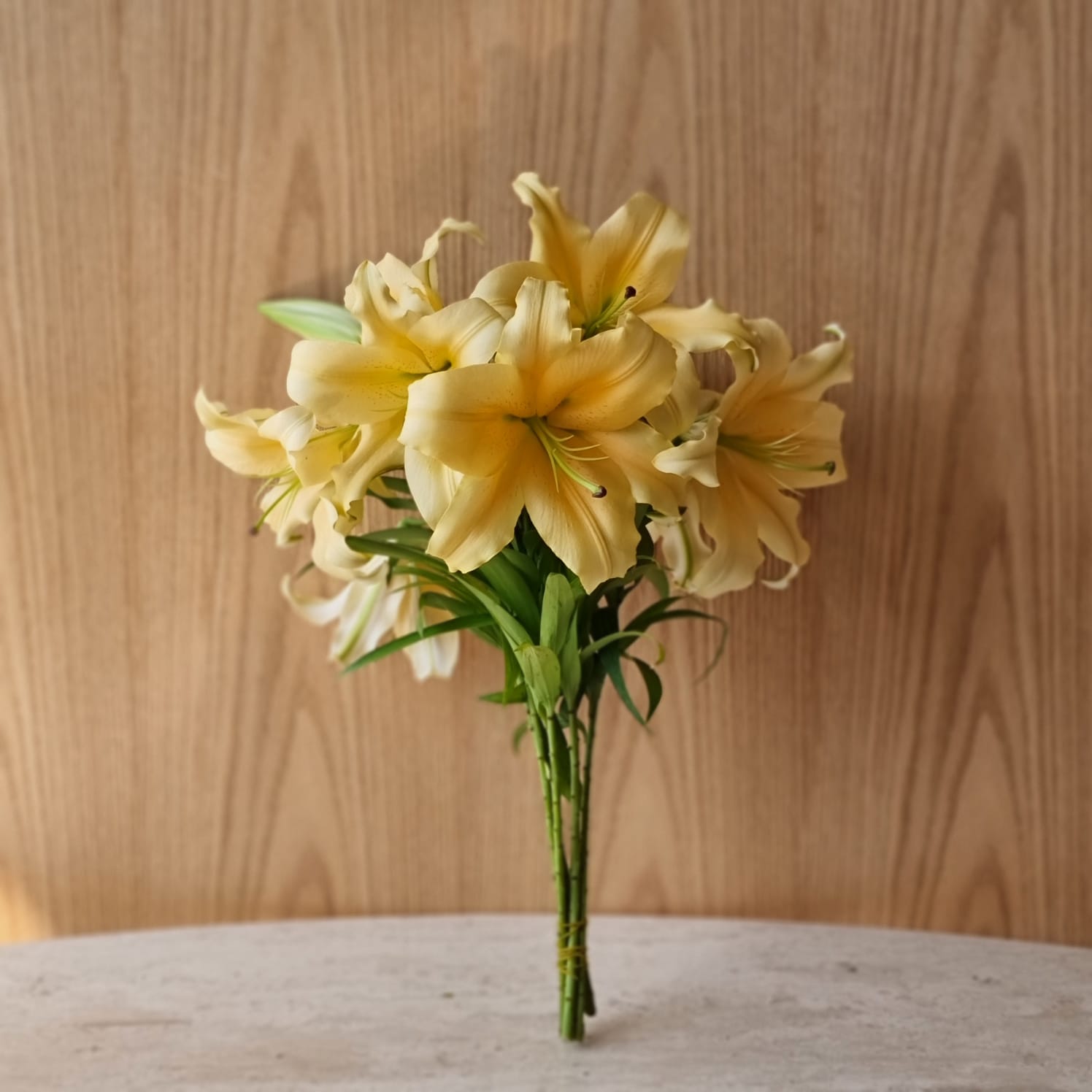 كازابلانكا مع رائحة ' الزهور بالجملة زهور مقطوفة