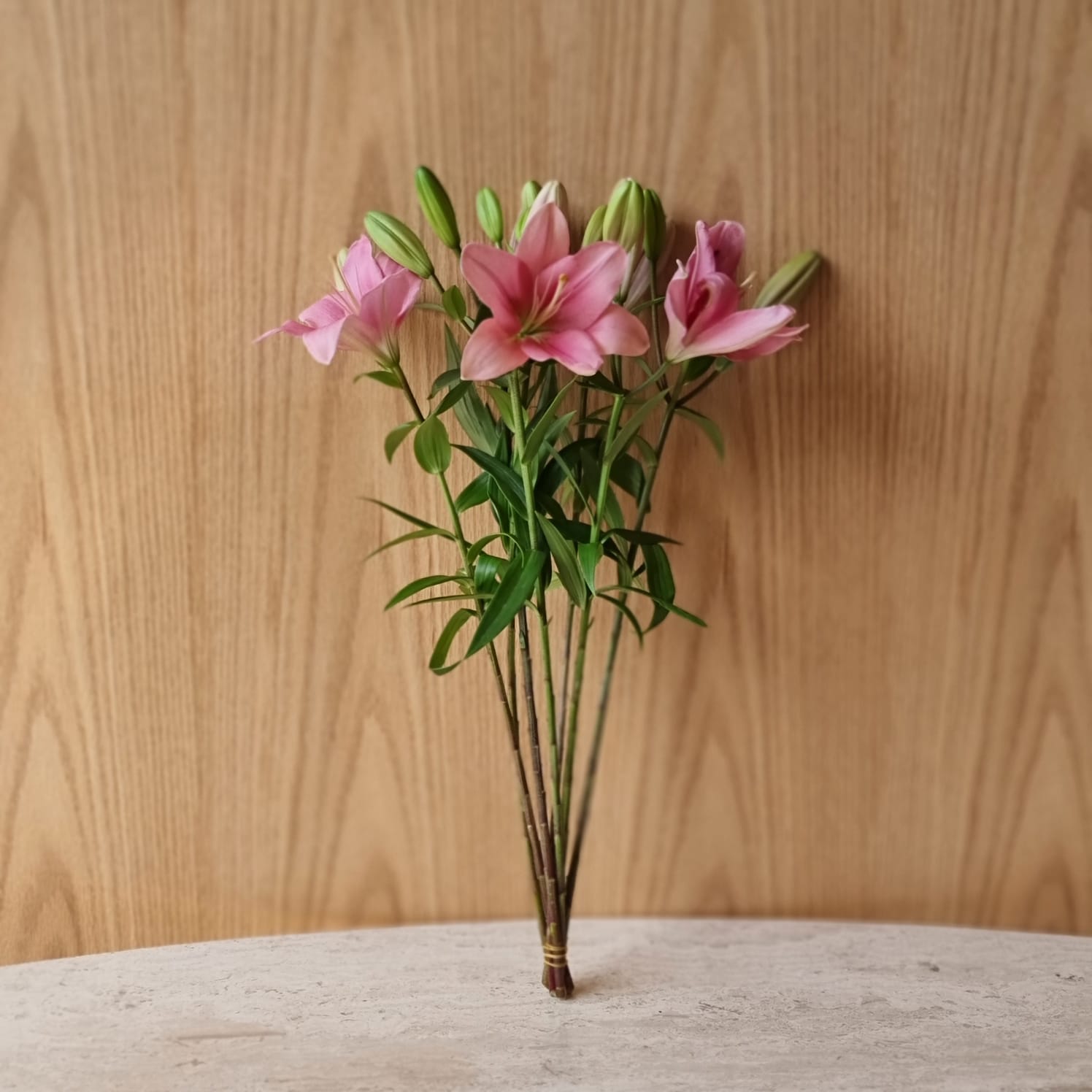 Lilium - Pink 'Wholesale Flowers Cut Flowers
