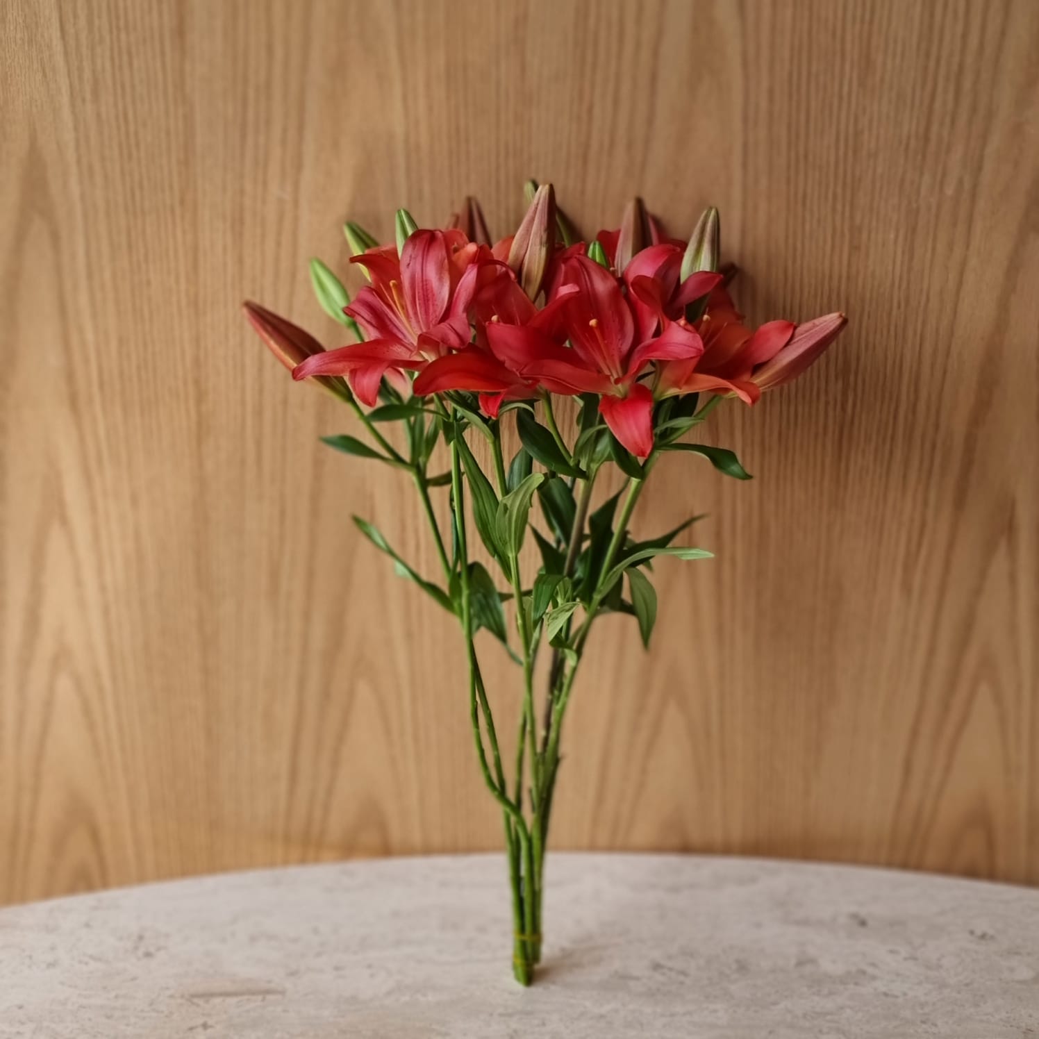 Lillium - Fangio 'Wholesale Flowers Cut Flowers