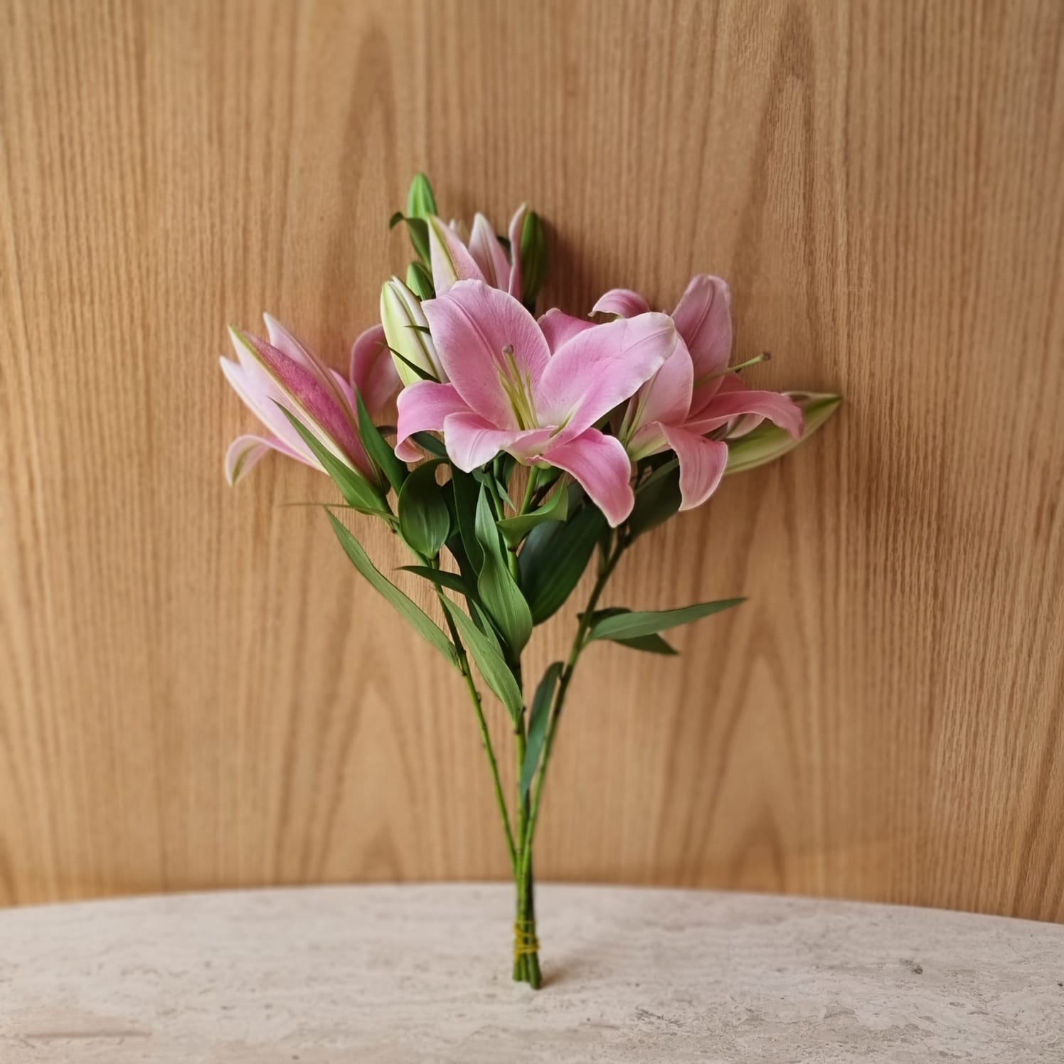 كازابلانكا وردي ' الزهور بالجملة زهور مقطوفة