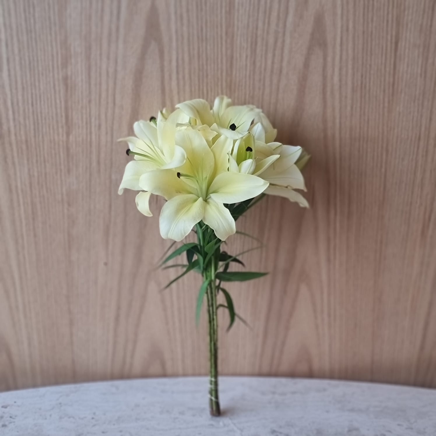 Casablanca With Smell 'Wholesale Flowers Cut Flowers