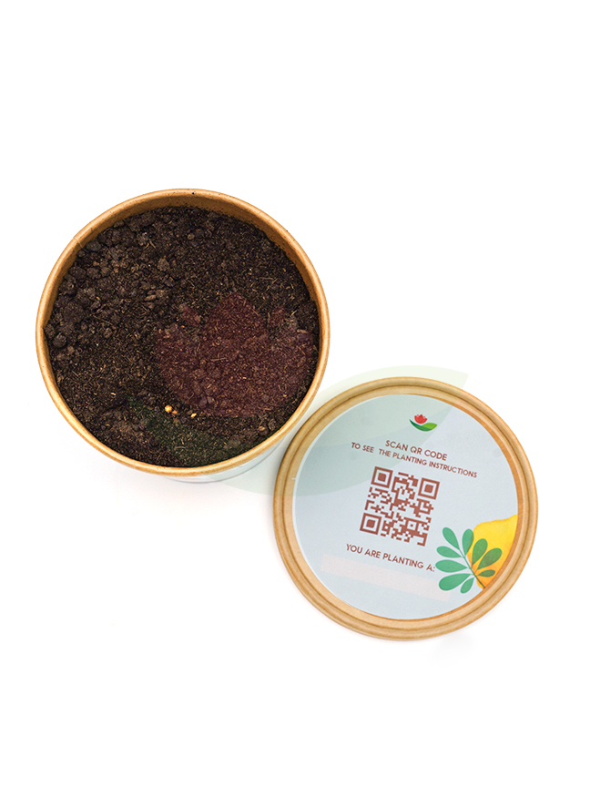 Ridge Gourd Online