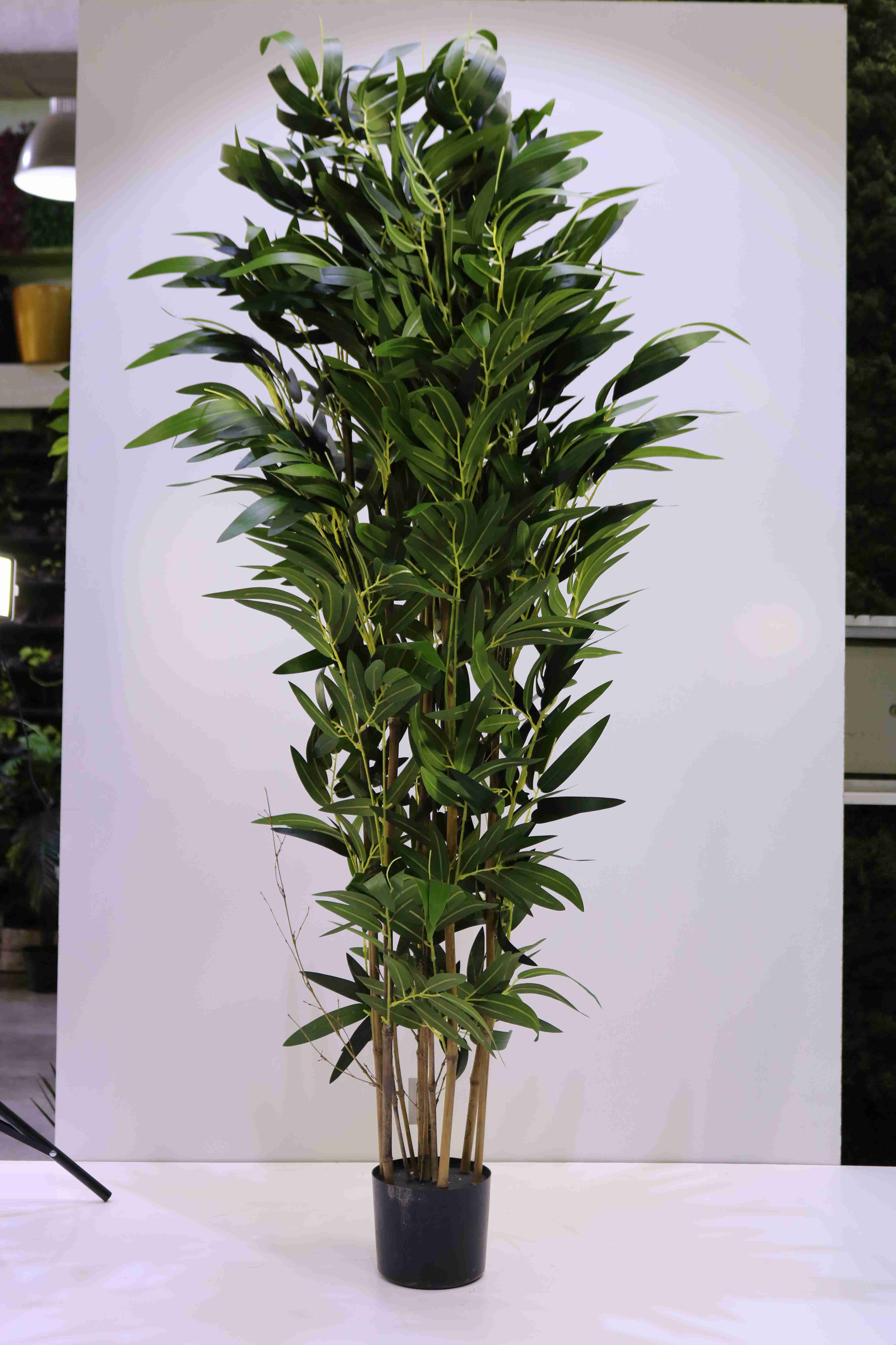BAMBOO 120 CM Online