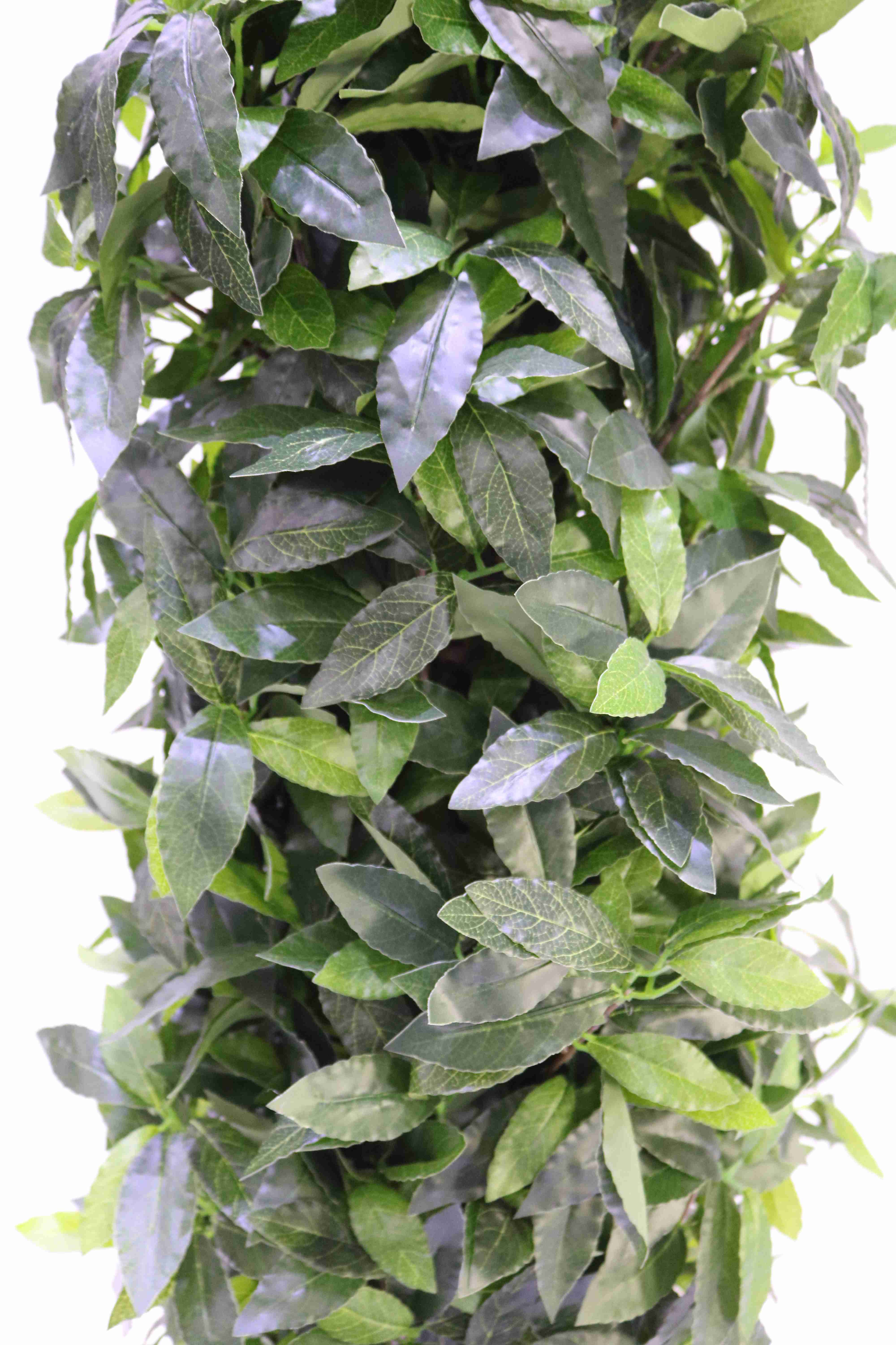 LAUREL TREE 120 CM Online