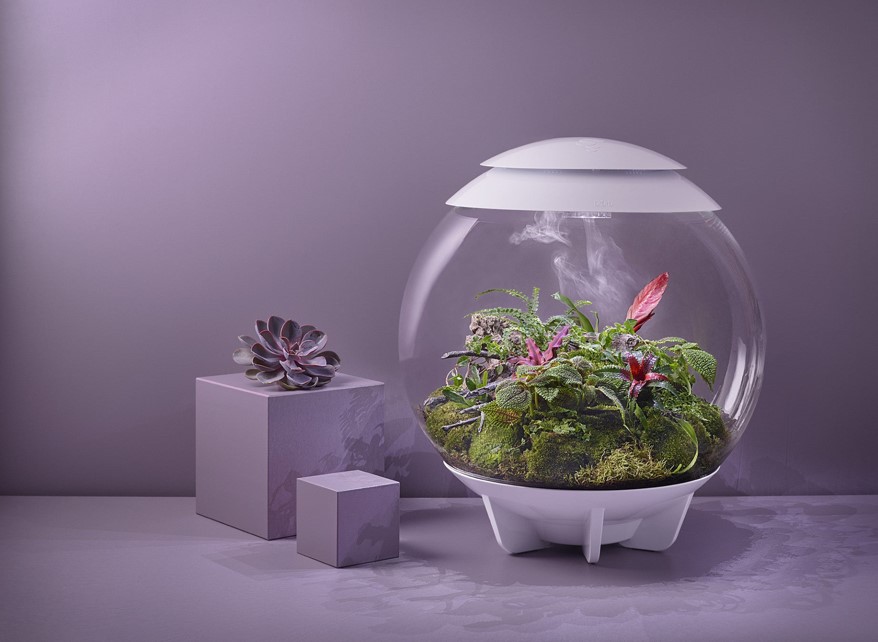 Biorb Air Terrarium Online