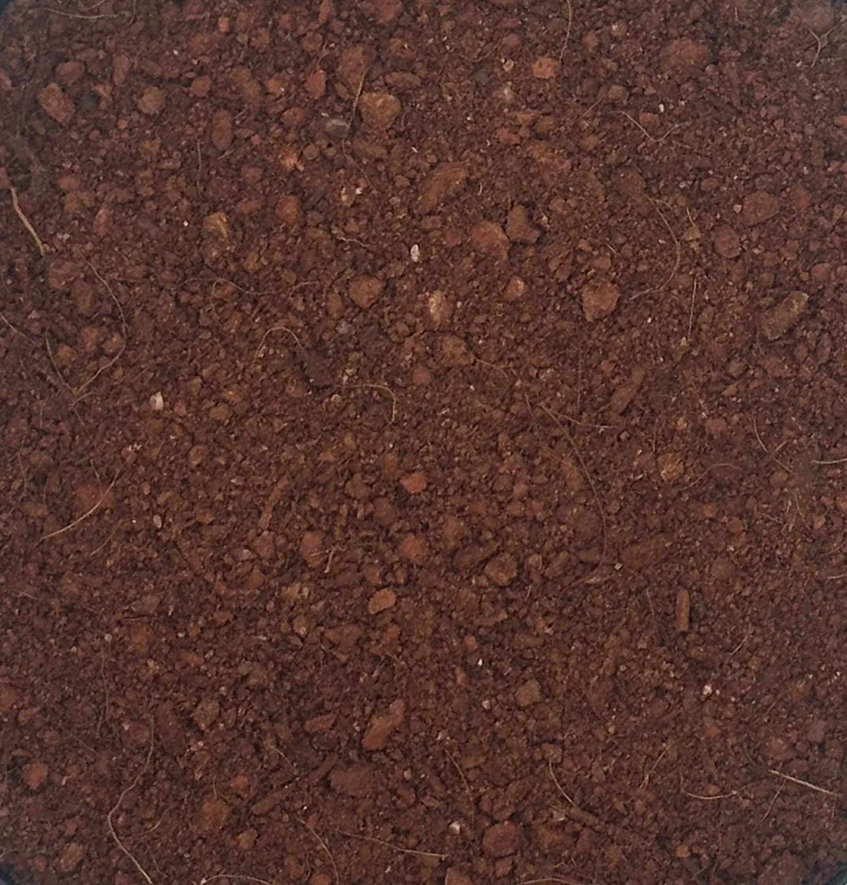 Natural Volcanic Planting Mix Online