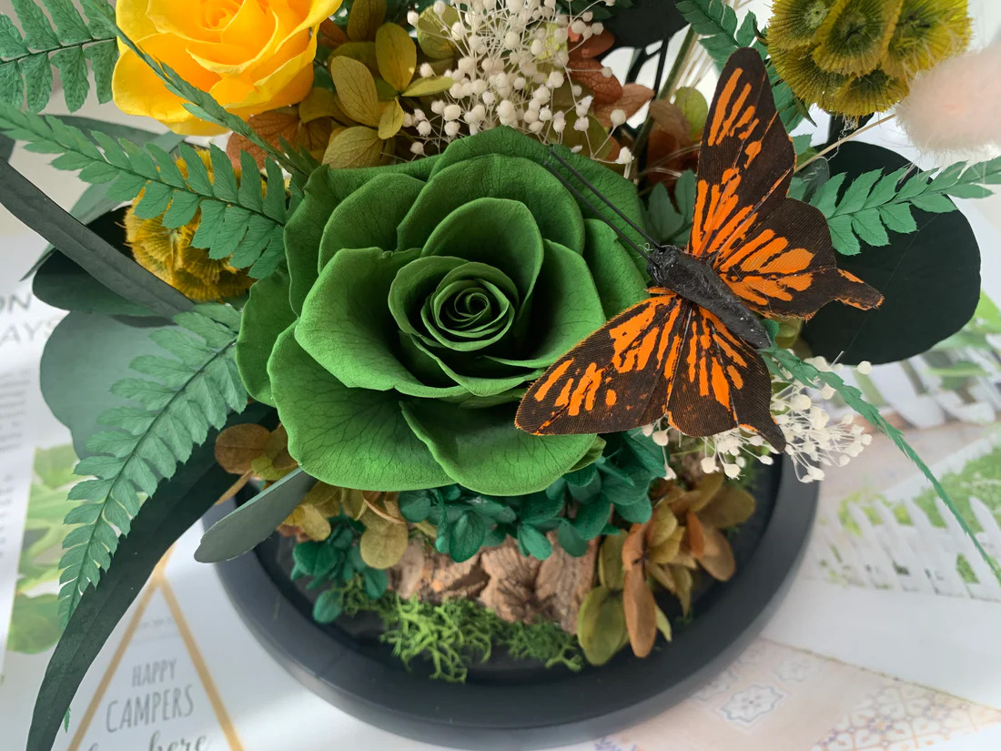 حديقة ورد أبيض داخل قبة زجاج Online