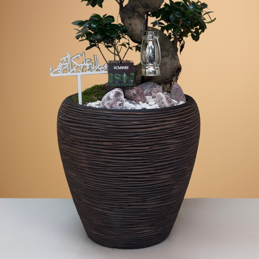 بونساي فيكس ميكروكاربا إس لاين Online