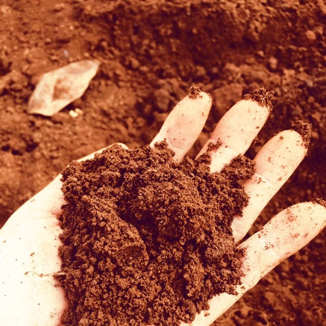 Natural Volcanic Planting Mix Shopping