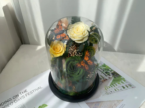 حديقة ورد أبيض داخل قبة زجاج Shopping