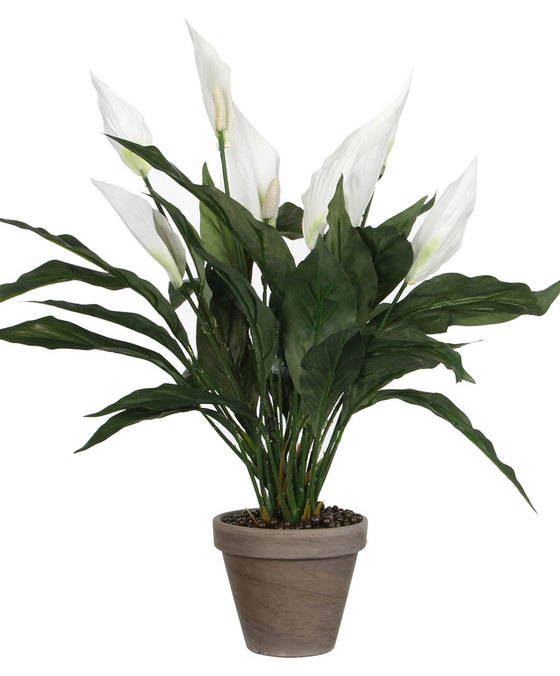 Buy Online Artificial Flowers, Grass, Pots, Plants in Kuwait at Mashatel