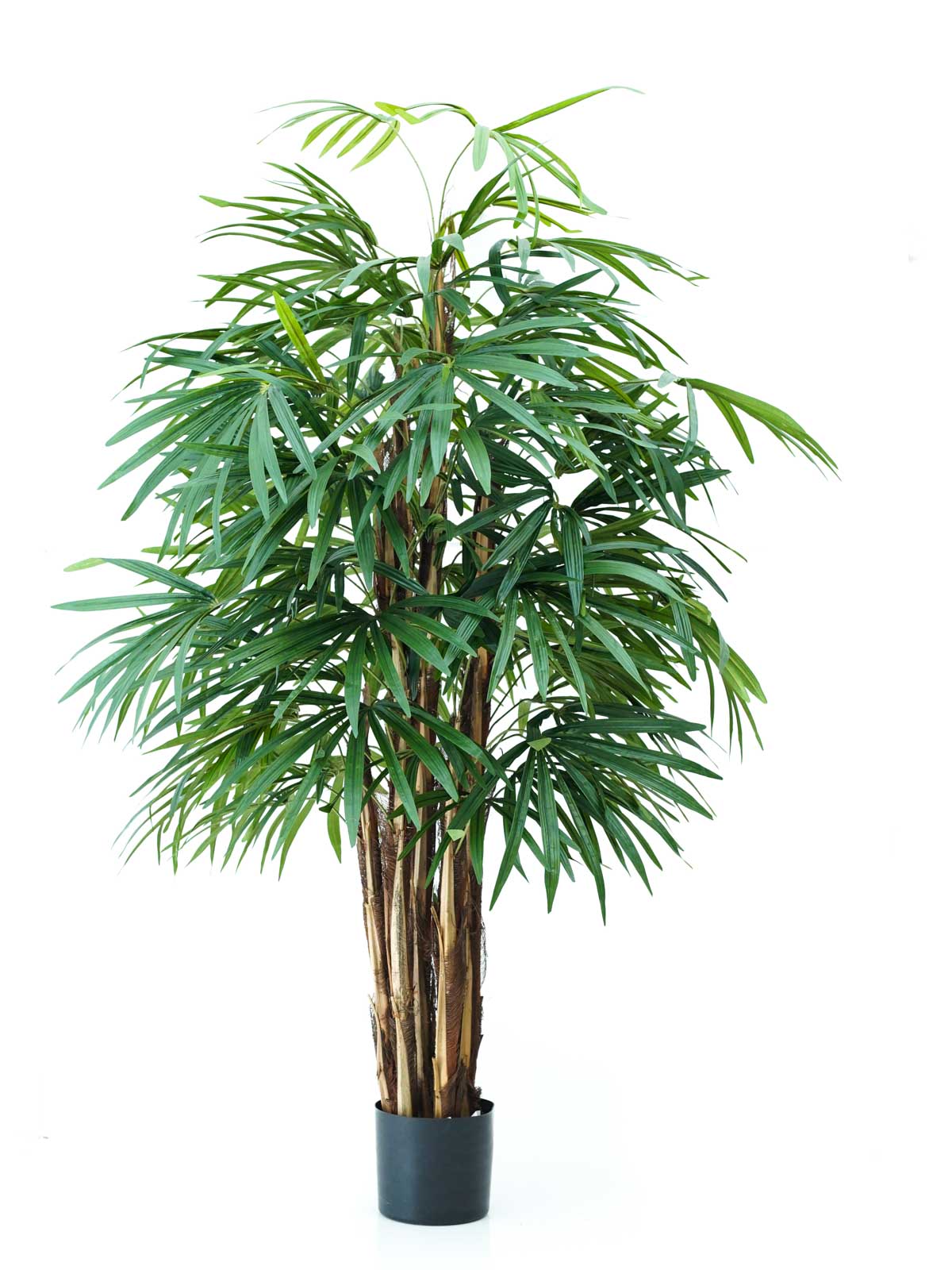 Buy Online Artificial Flowers, Grass, Pots, Plants in Kuwait at Mashatel