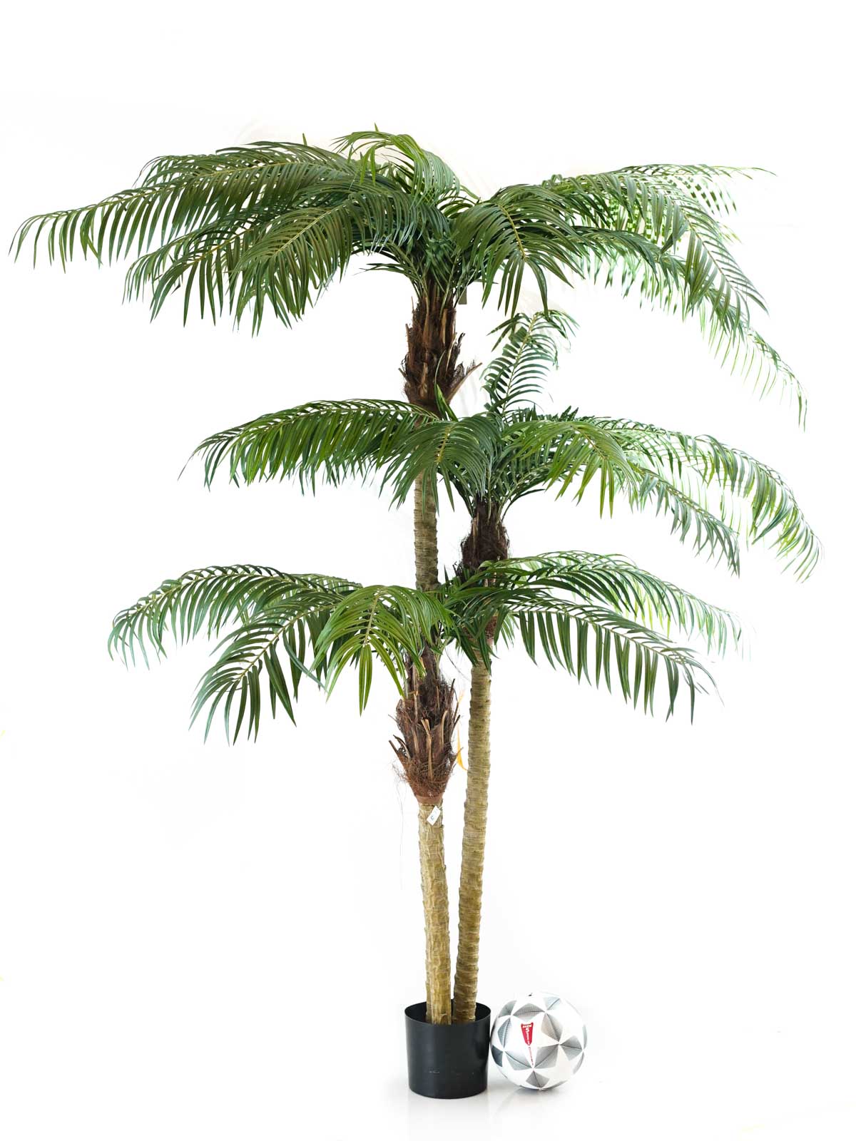 Mashatel Kuwait Plant a Life