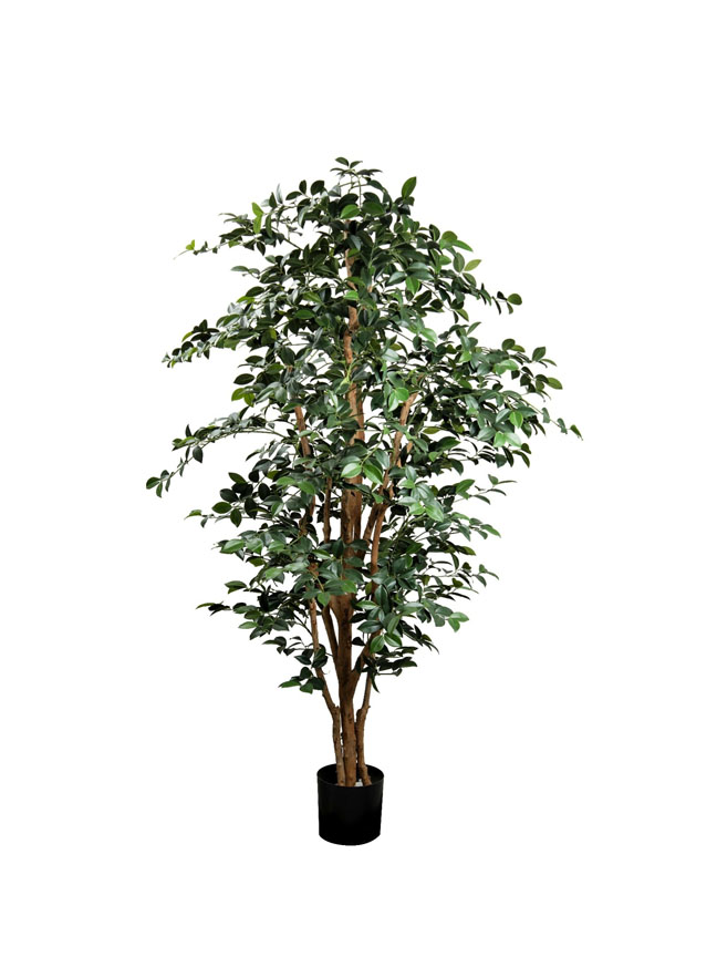 Artificial Trees Online Leading Plants & Flowers Online Store in Kuwait