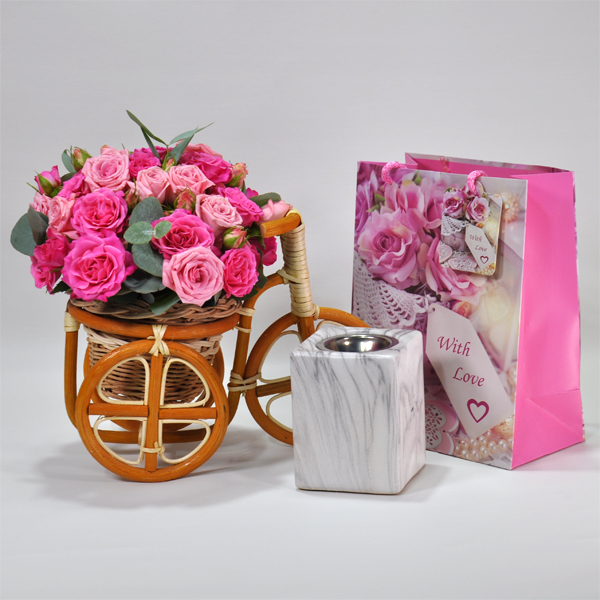 Nisha bicycle Combo Pack