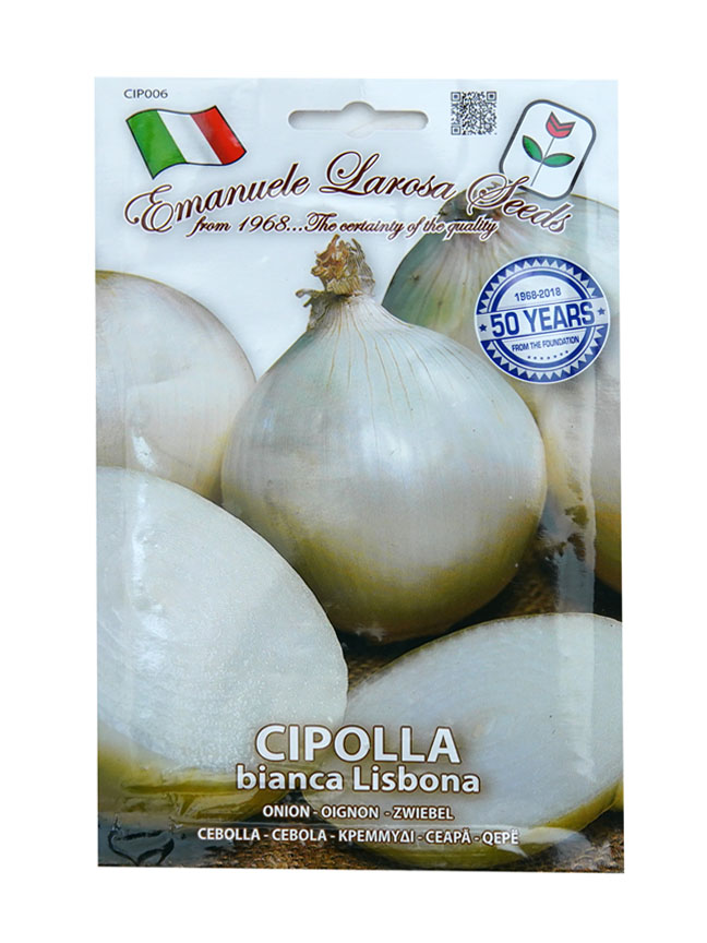 Onion White 'Seeds'