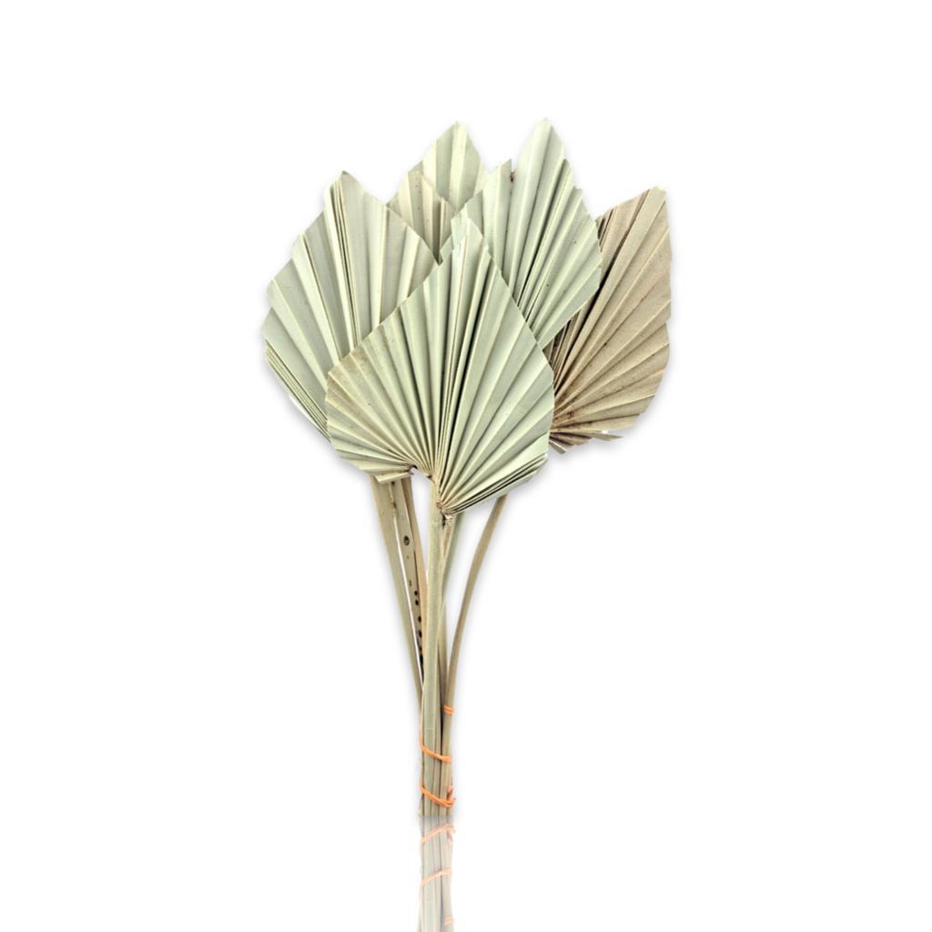 Fresh Flowers Online Wholesale Flowers Center Kuwait