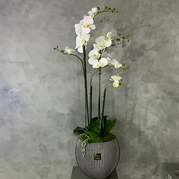 Buy Online Artificial Flowers, Grass, Pots, Plants in Kuwait at Mashatel