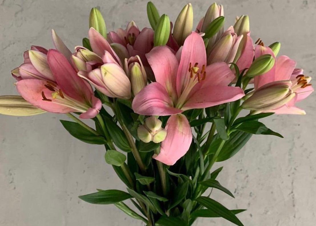 Fresh Flowers Online Wholesale Flowers Center Kuwait