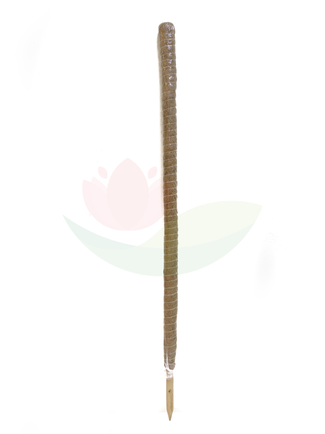 Bambo Stick - 145 CM Gardening Accessories