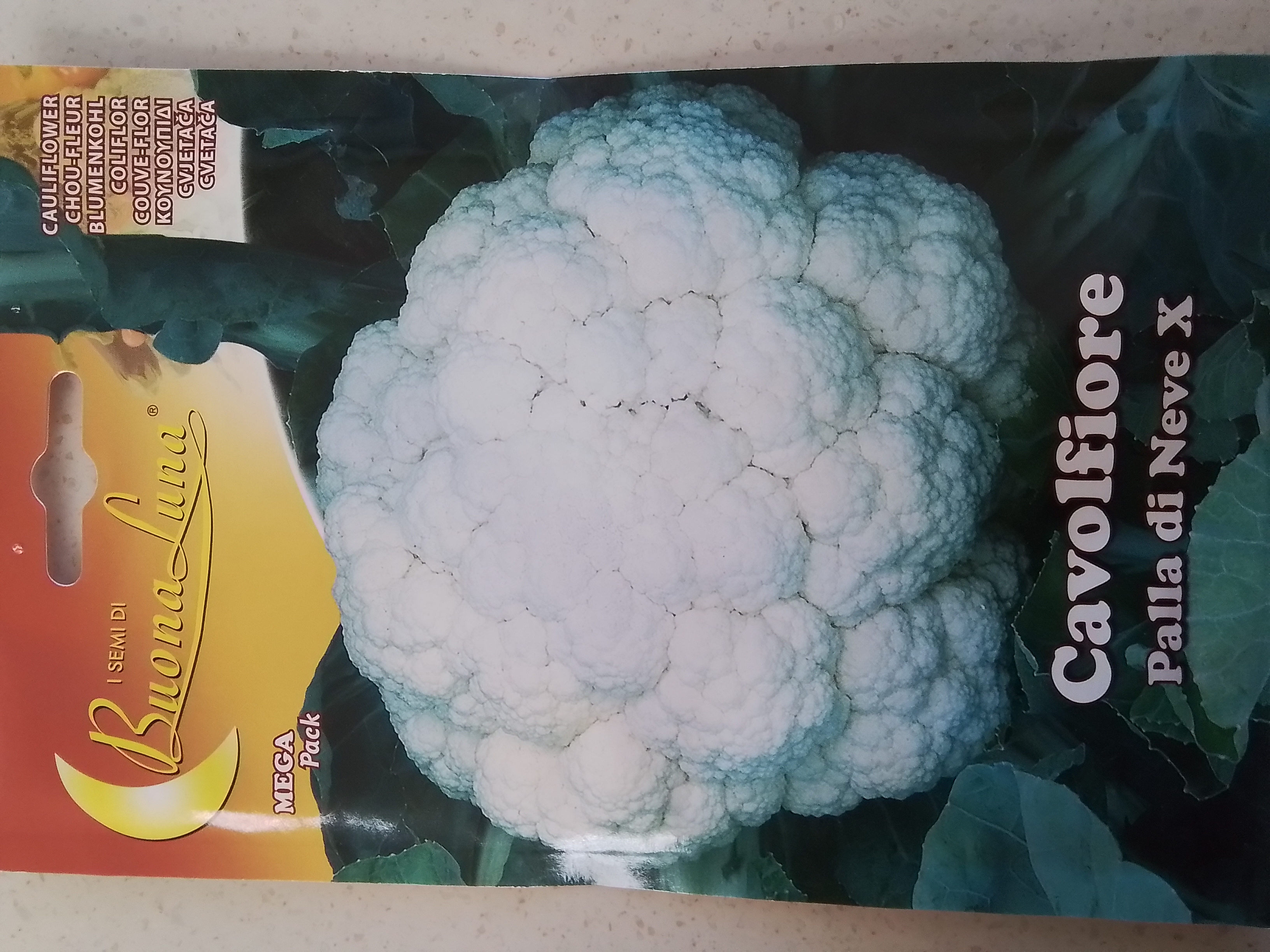 Cauliflower 'Seeds'