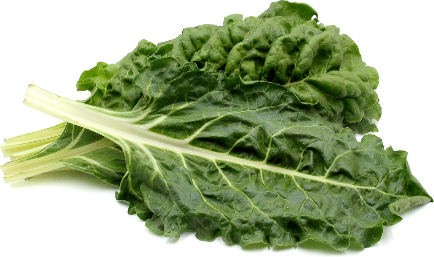 Chard - Organic 'Seeds'