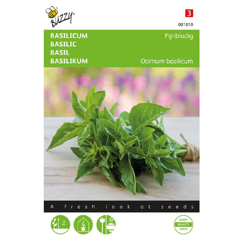 Buzzy® Ocimum Basilicum Minumum (Basil, Bush) 'Seeds'