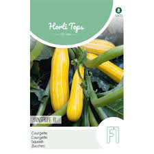  كوسا صفراء  'بذور'