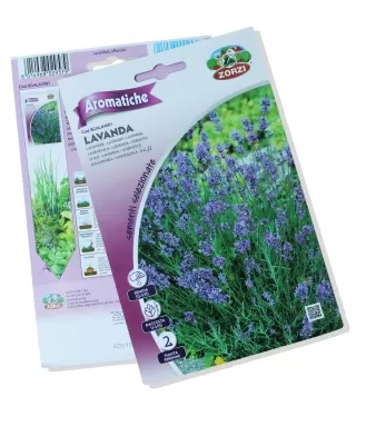 Lavender Seeds 'Seasonal Specials'