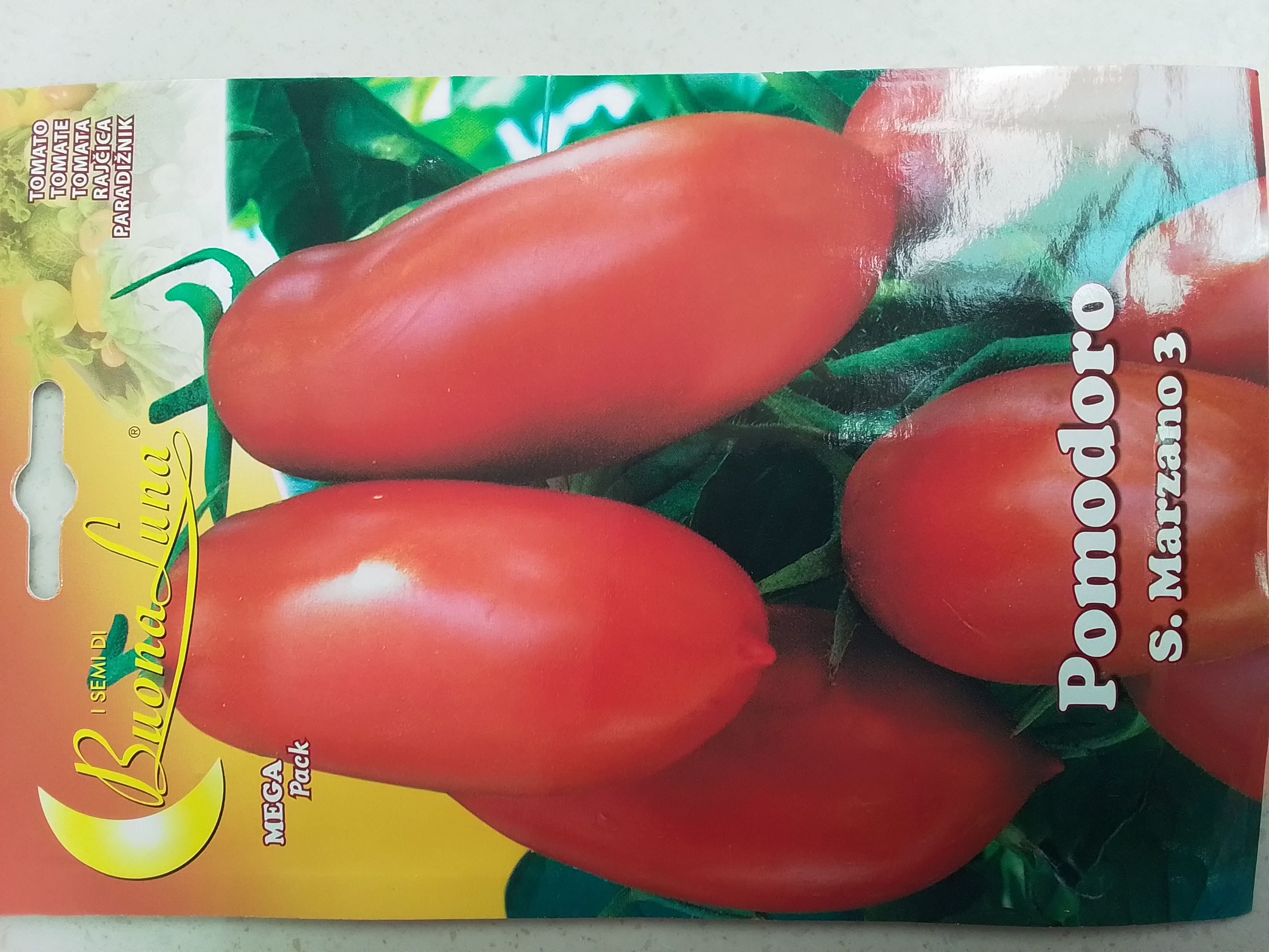 Tomato 'Seeds'