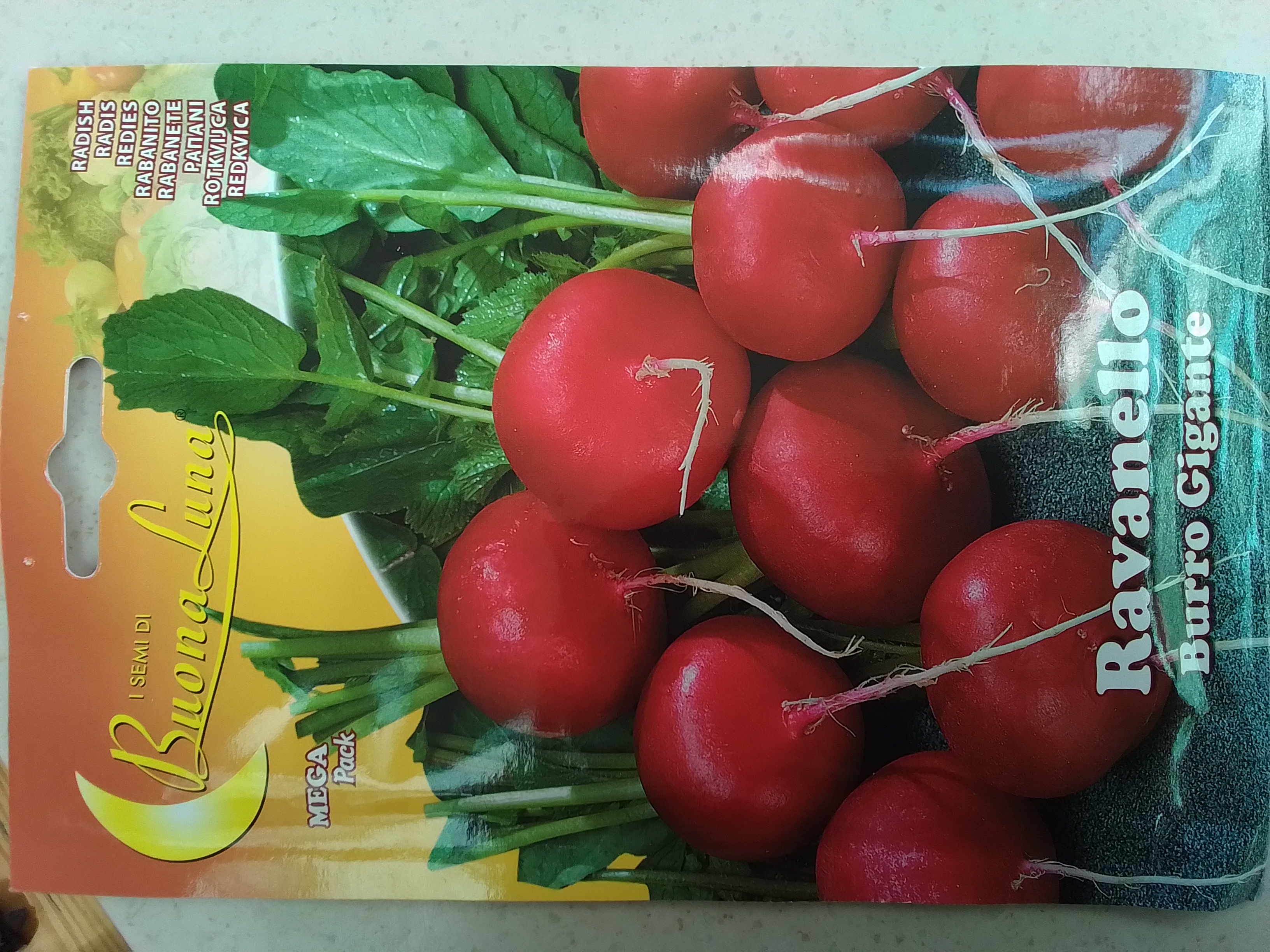 Radish  'Seeds'