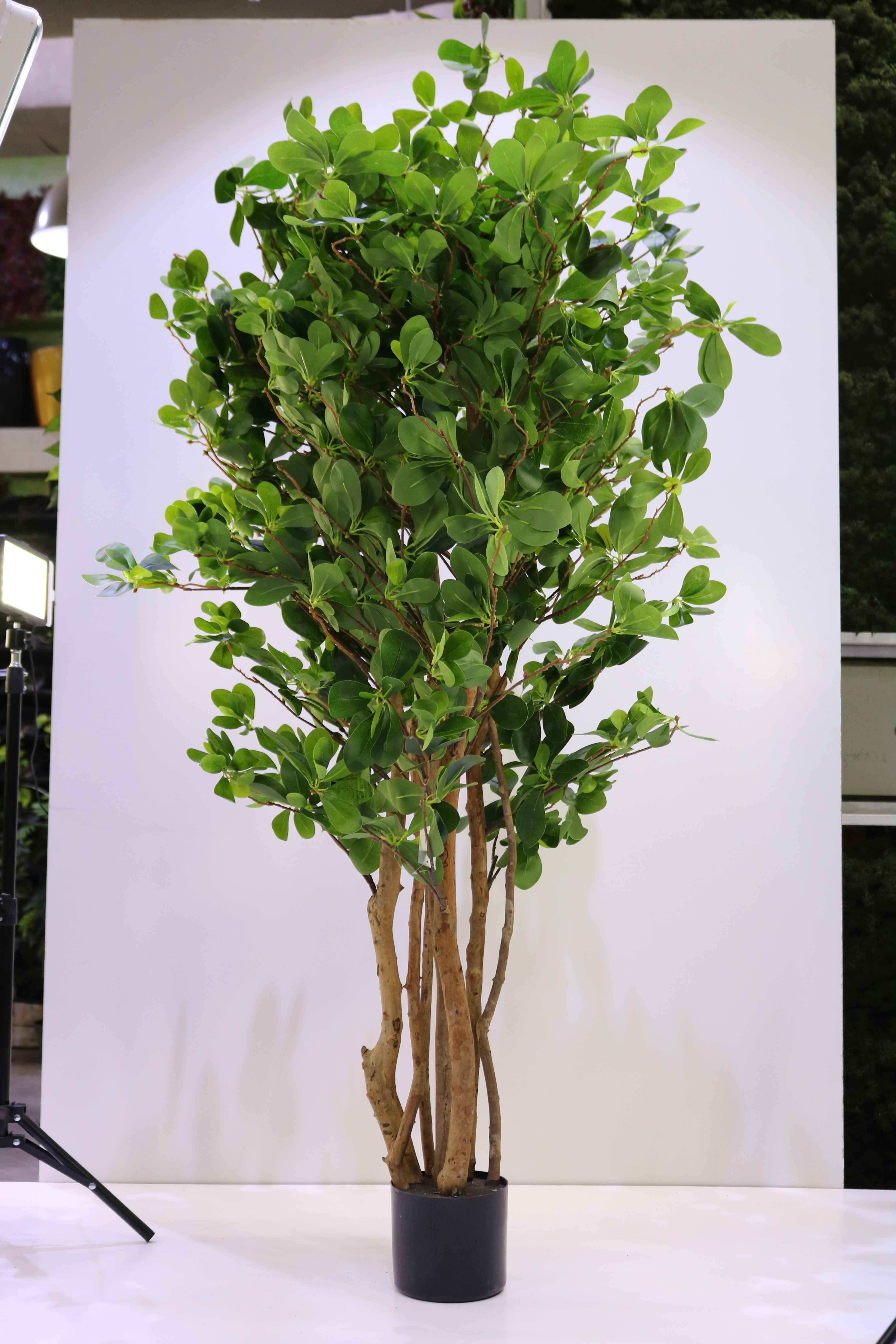ORIENT FICUS 120 CM Artificial Plants