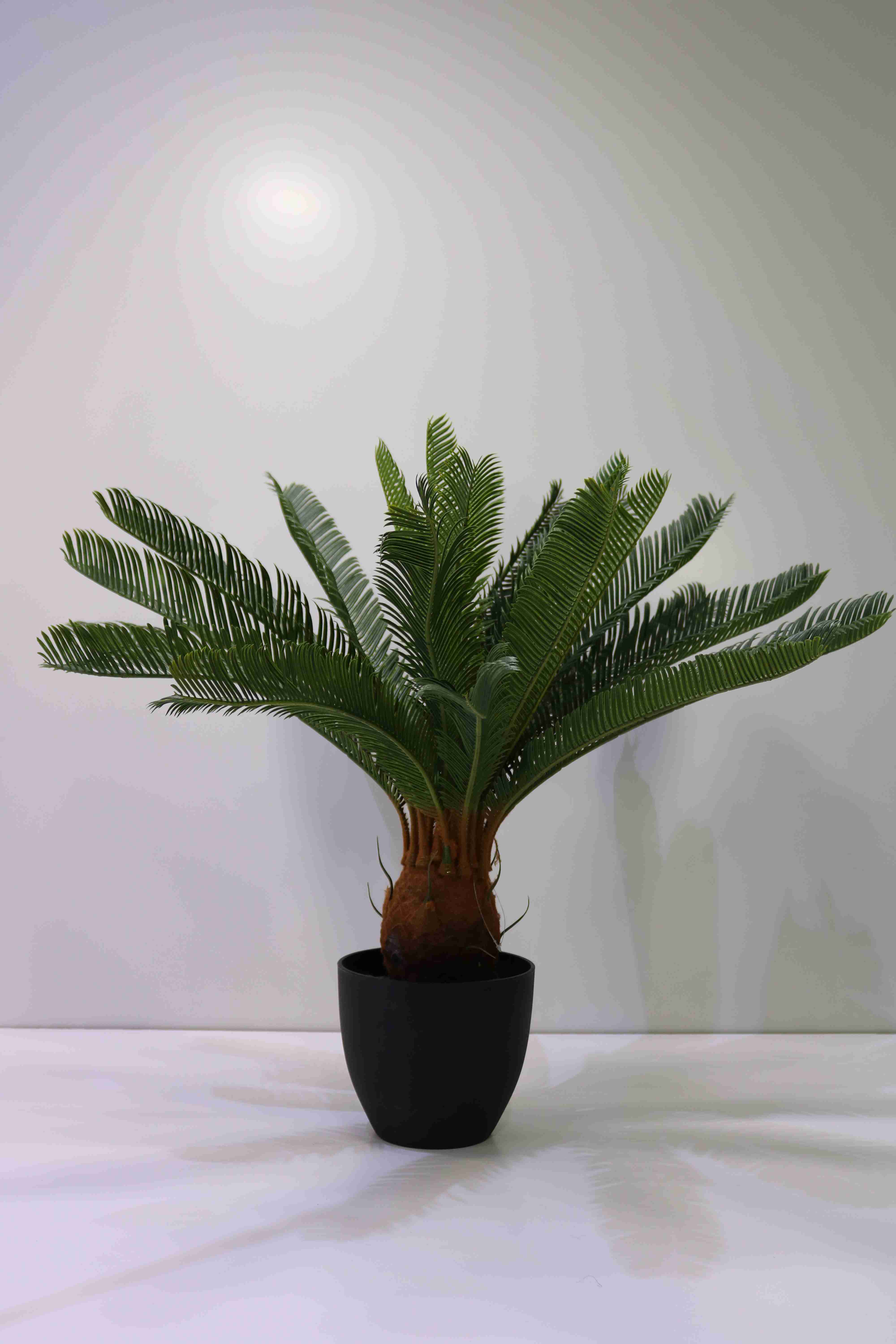 CYCAS 72 CM Artificial Plants
