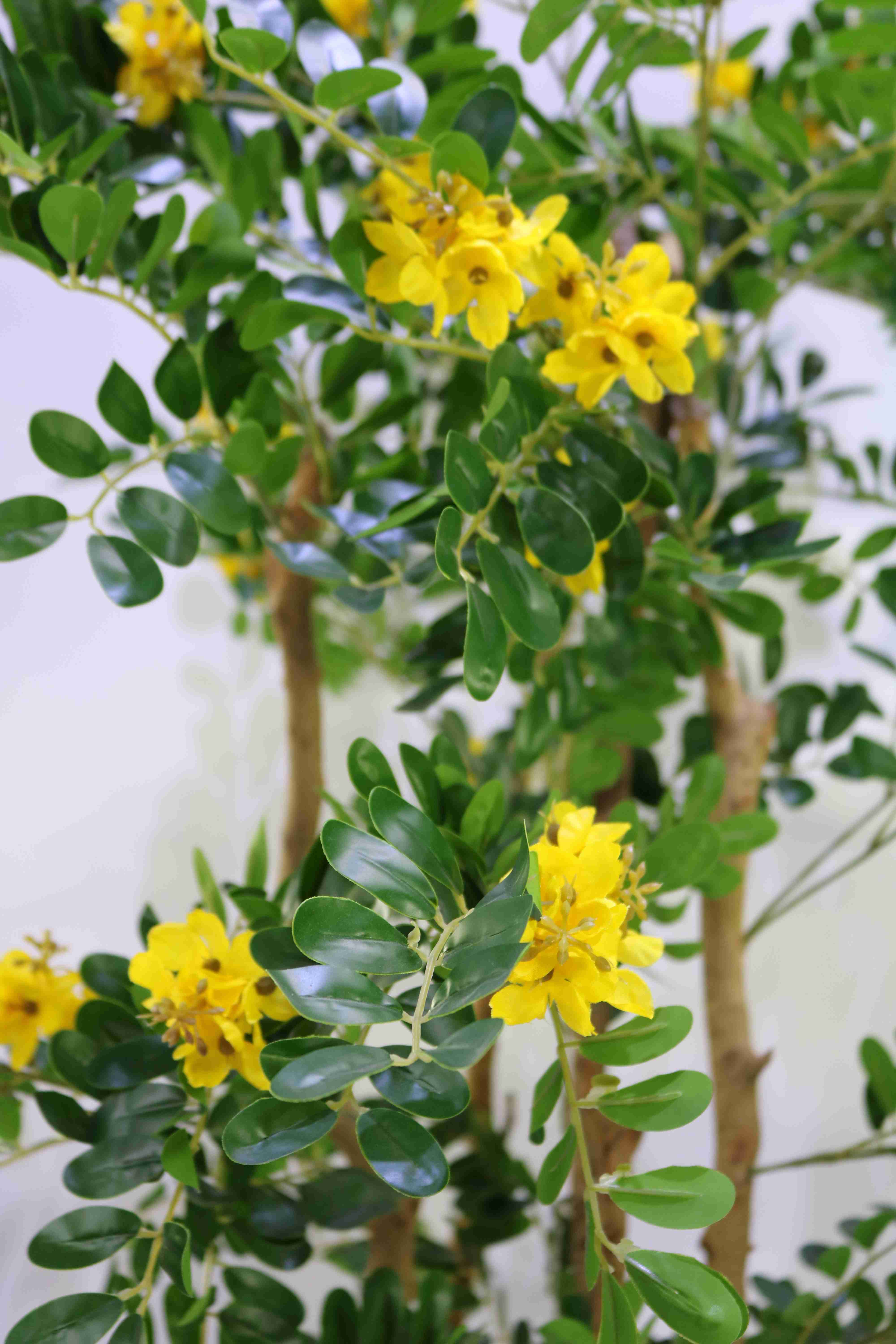 CARGANA ARBORESCENS Artificial Plants