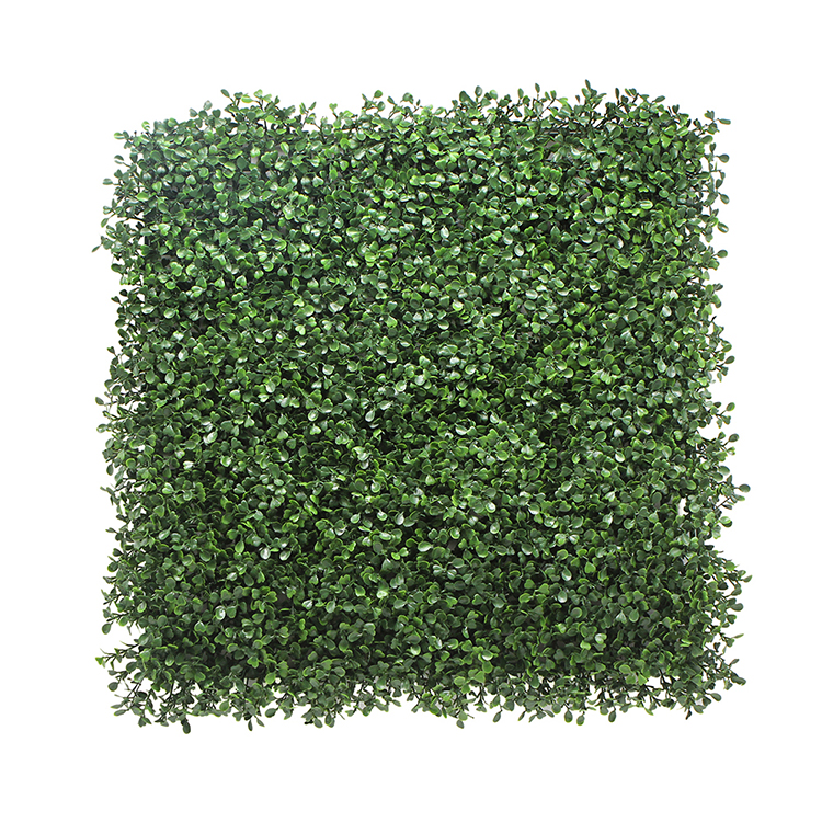 Boxwood Wall Hanging 50x50cm Artificial Plants