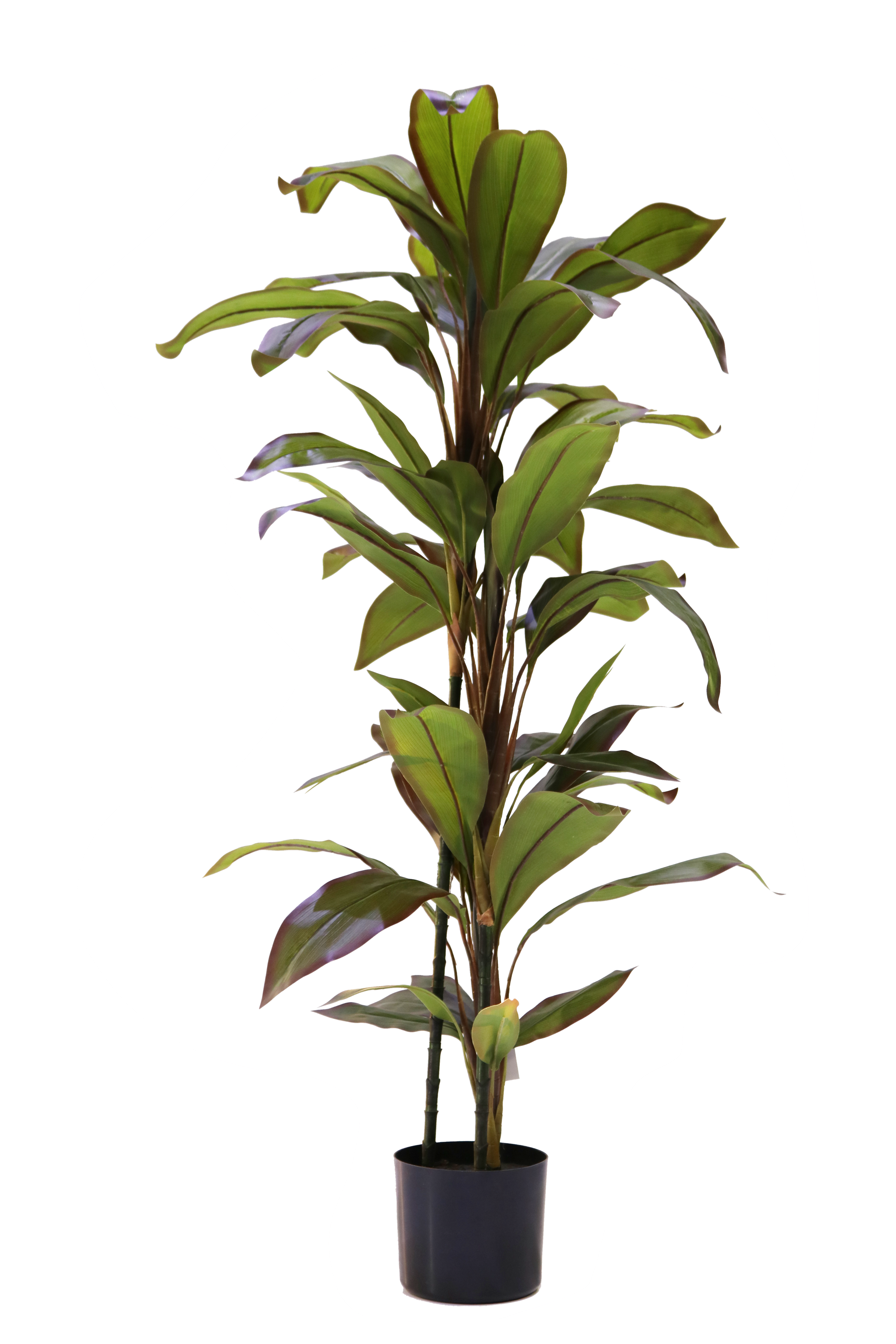 DRACAENA 120 CM Artificial Plants