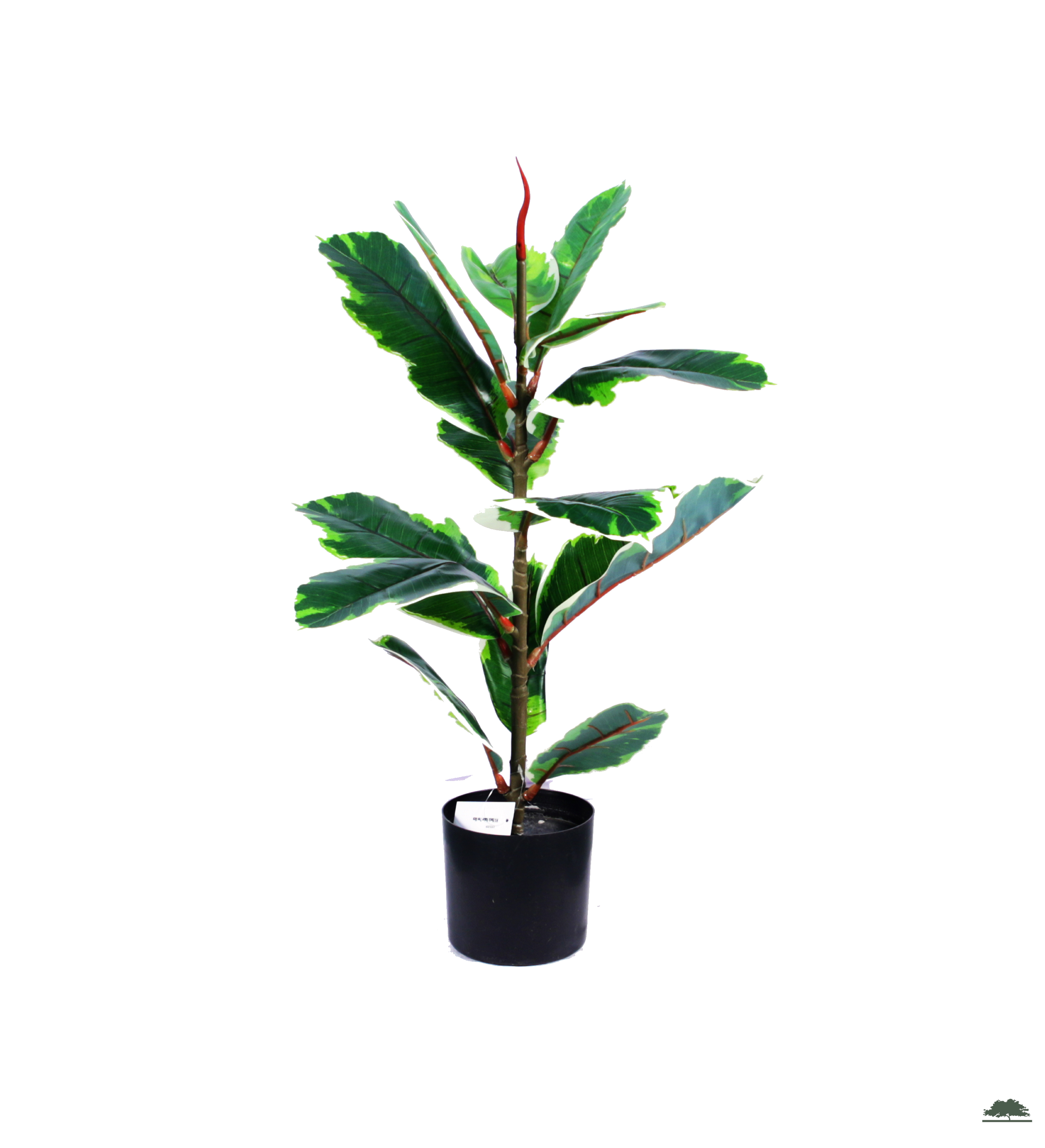 VARIEGATED ELASTIC FICUS TREE 65 CM Artificial Plants