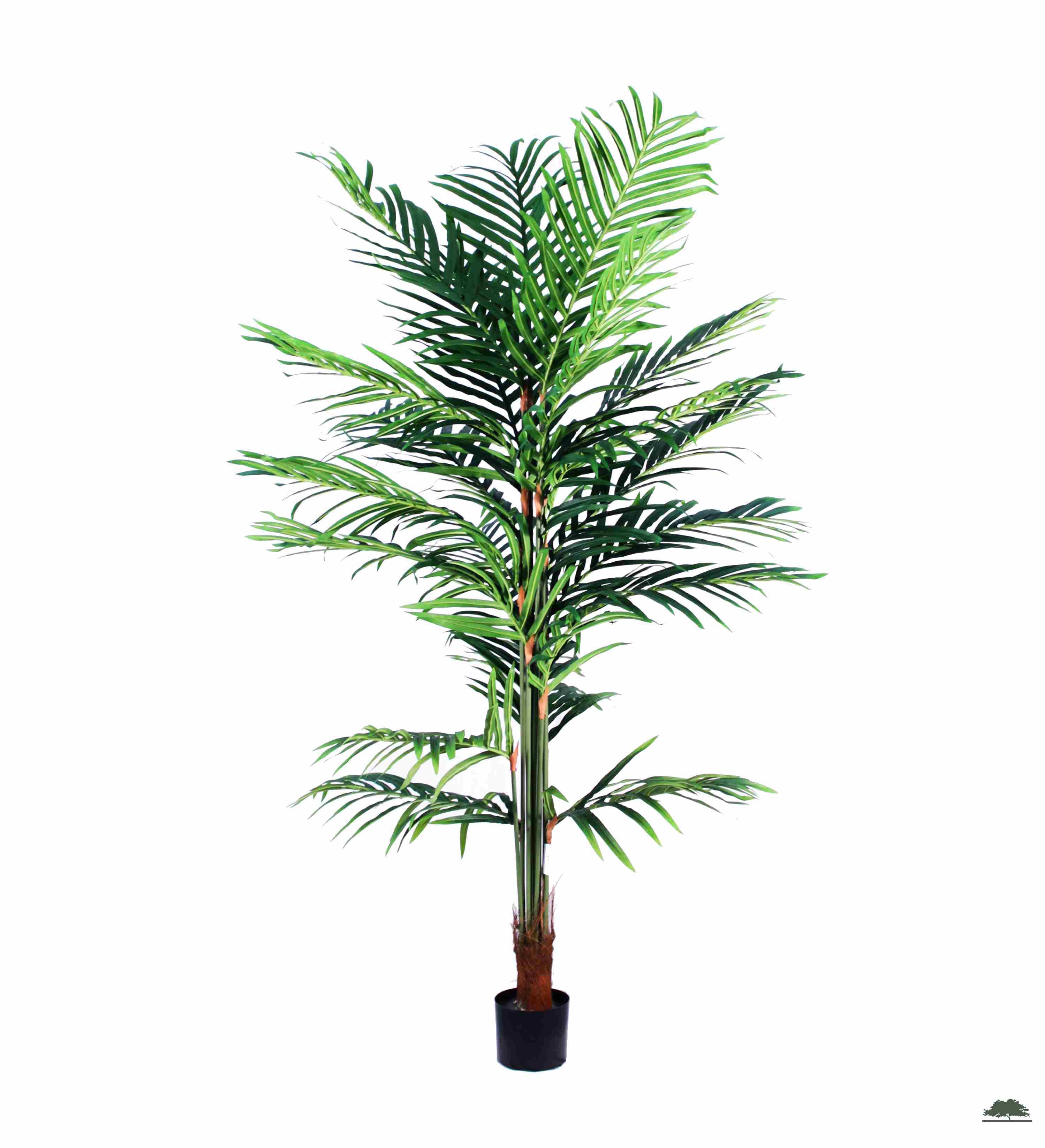 CB PALM 180 CM Artificial Plants